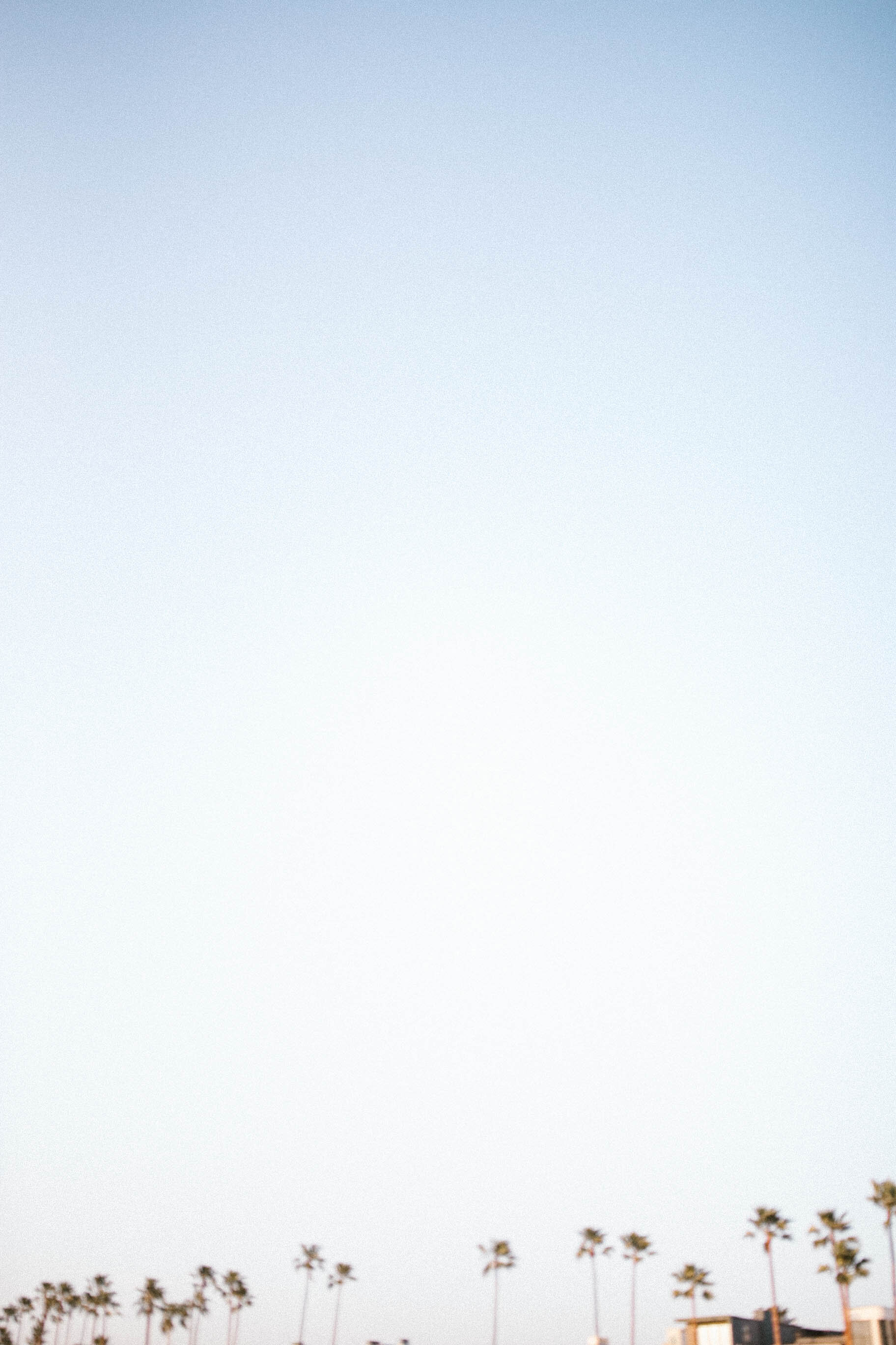 Beach Dreams | Venice, CA