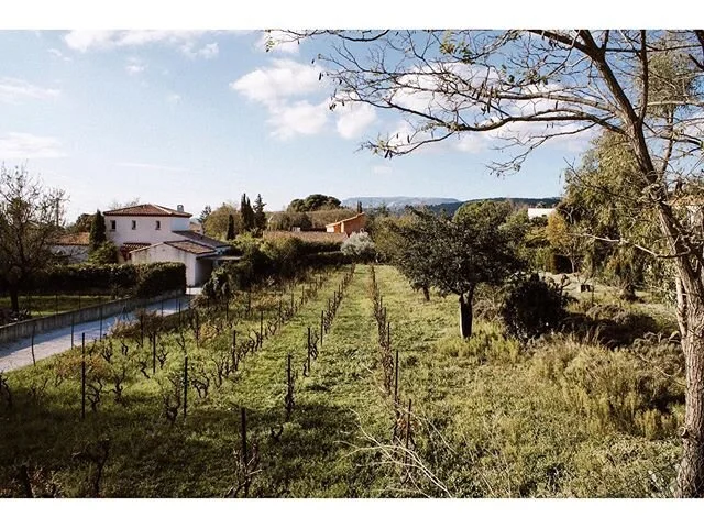 The south of France 🌿 like a dream within a dream