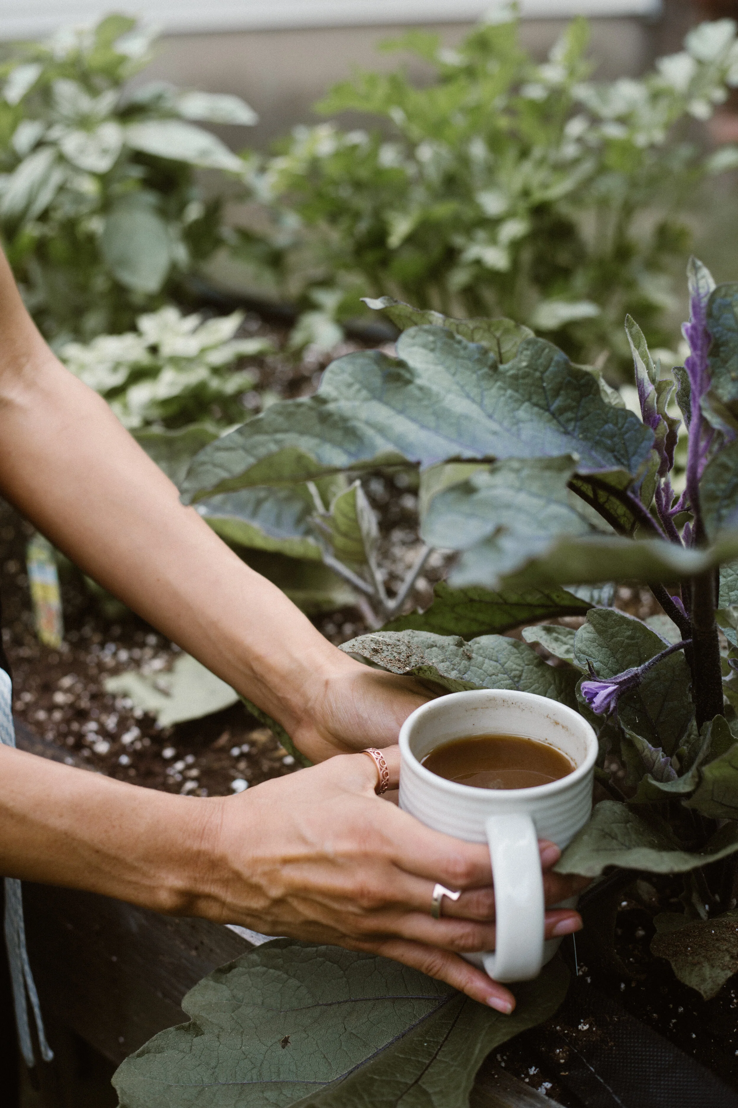 Gina Spinelli Photography Drink Divyne Denver Colorado