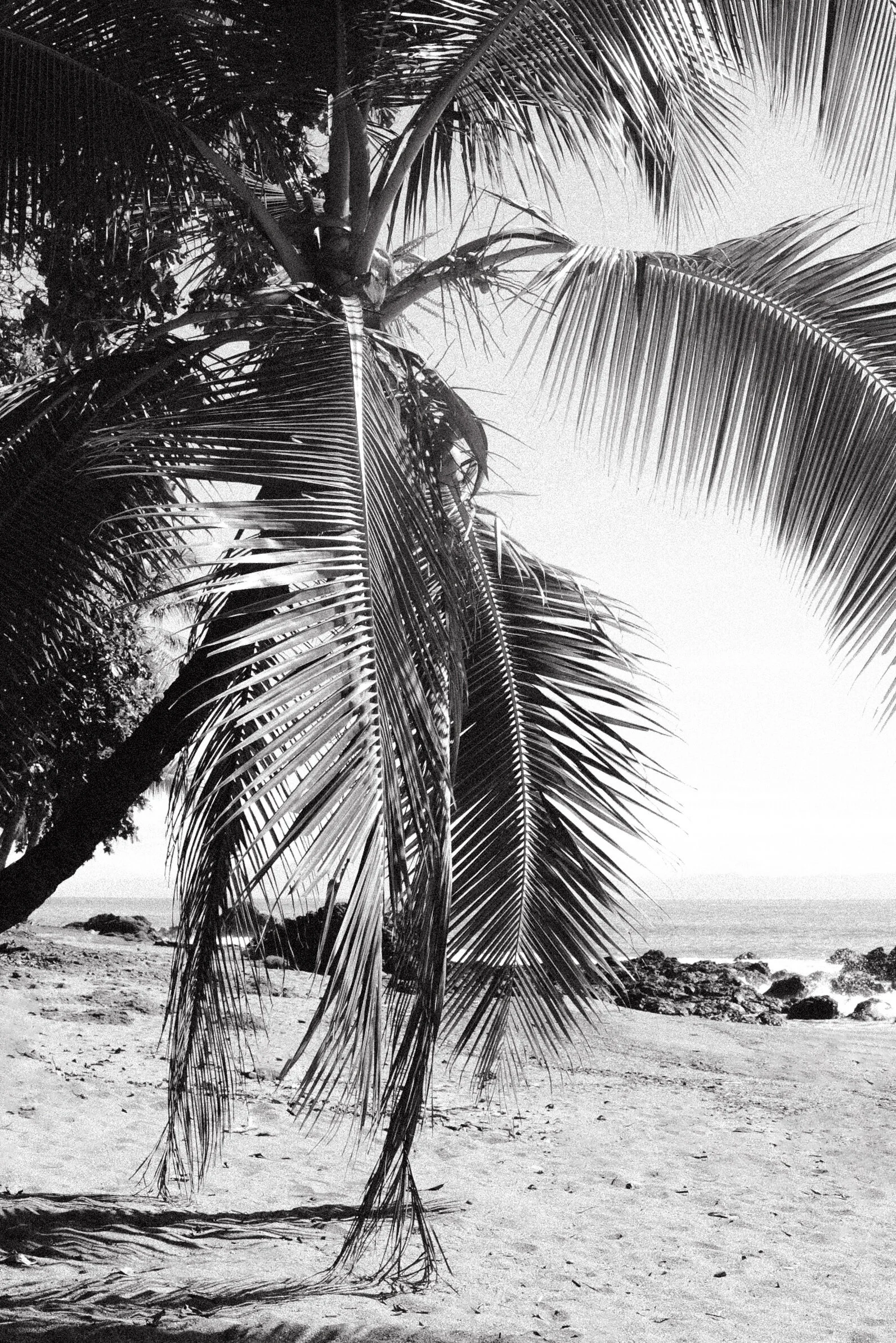 At the Beach | Santa Teresa, Costa Rica