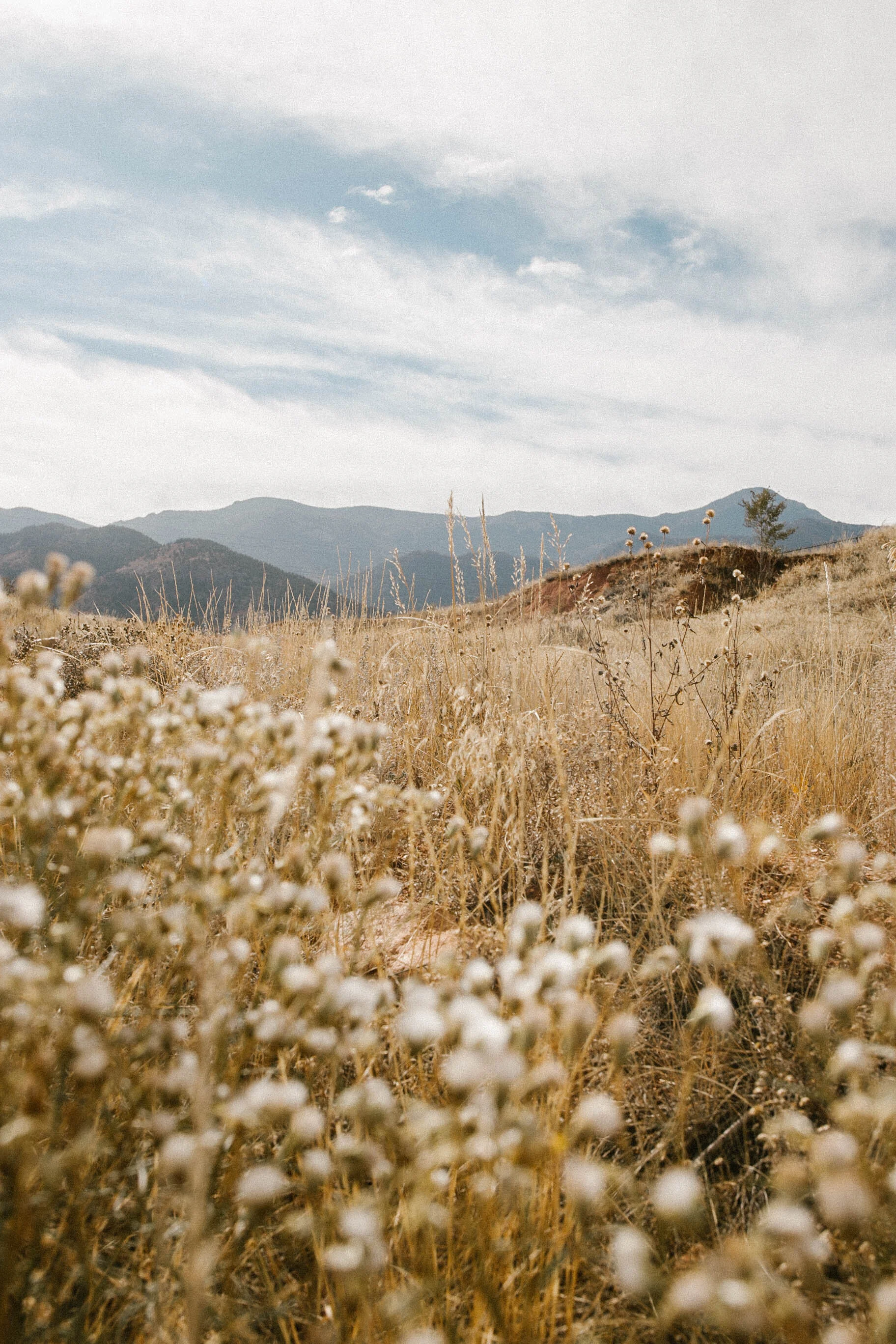 Red Rock Canyon Open Space, Colorado Springs 