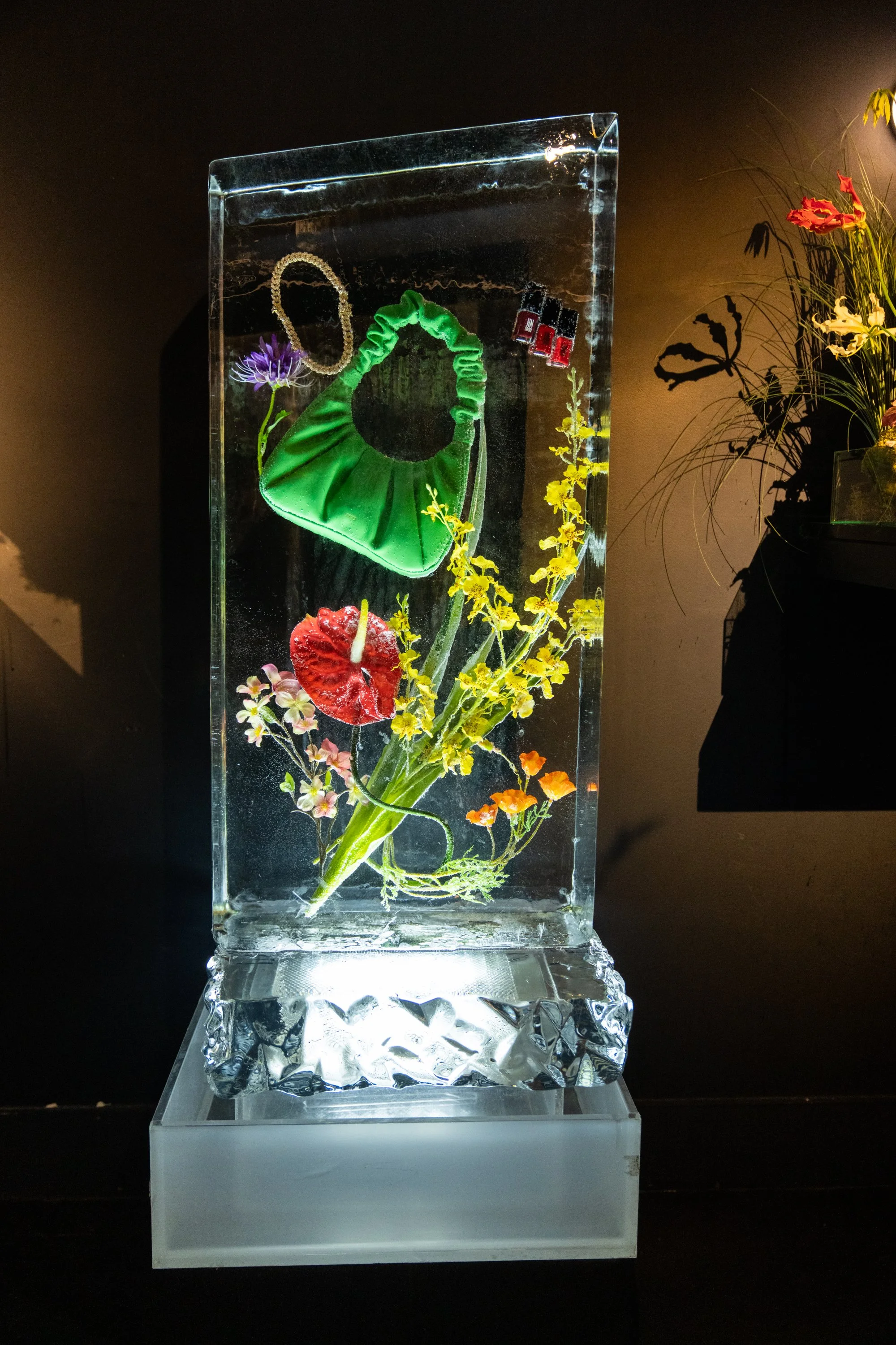 Amazon AAPI-107-DSC09966.jpg