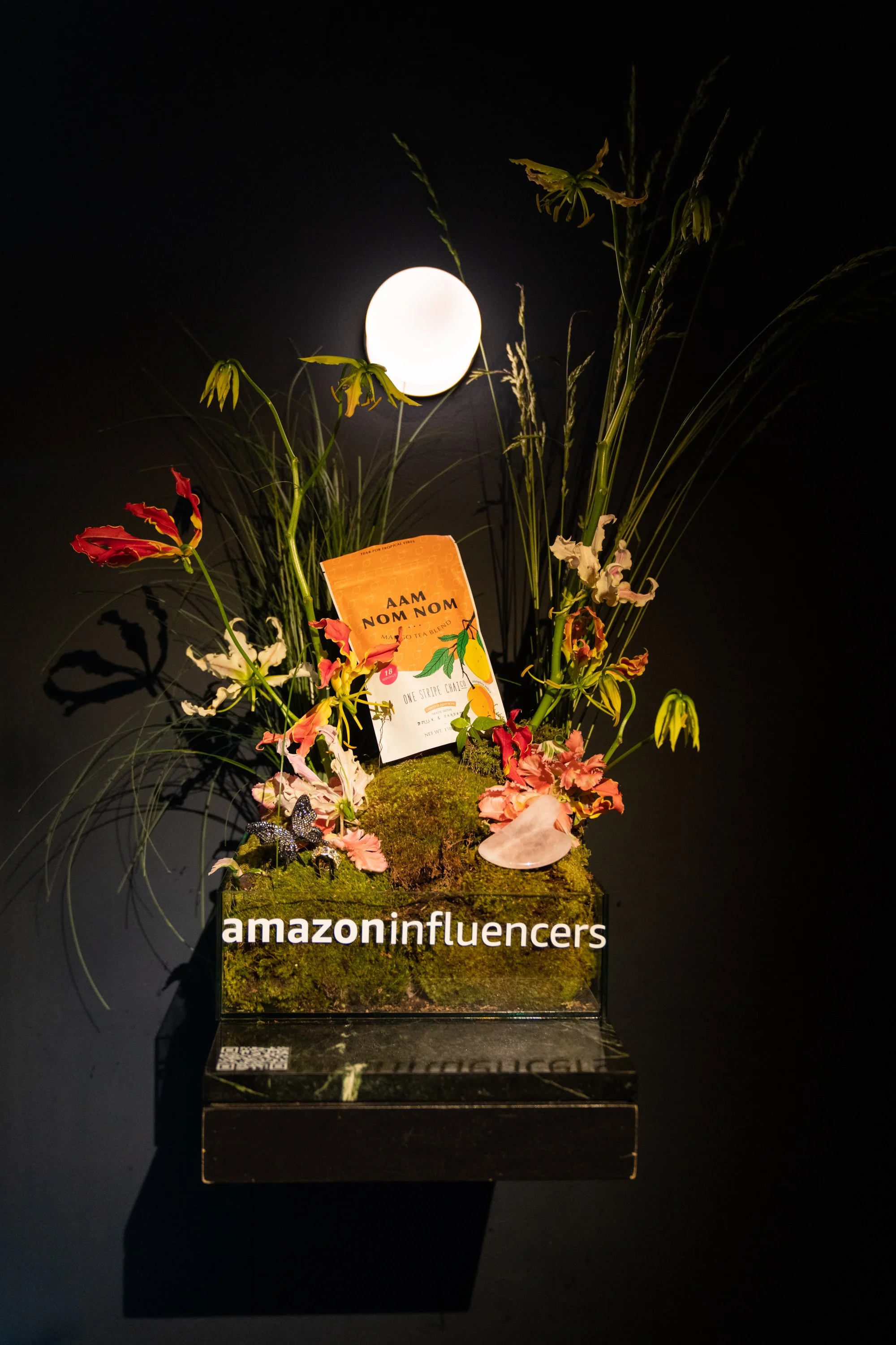 Amazon AAPI-108-DSC09971.jpg