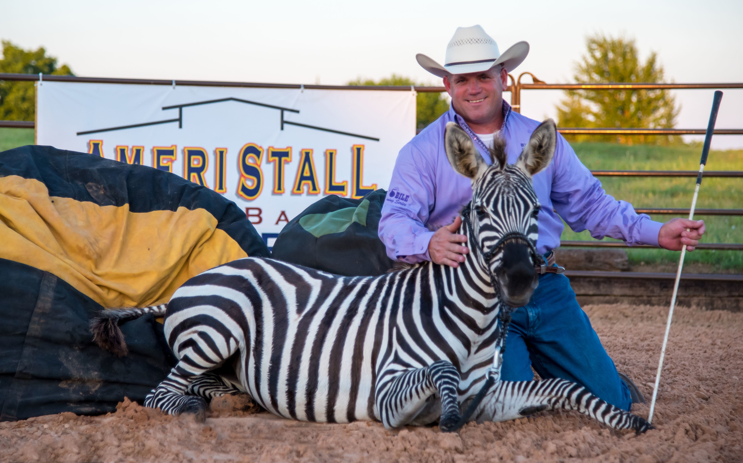 AmeriStall Horse Barns Chad's Zebra Training Successes