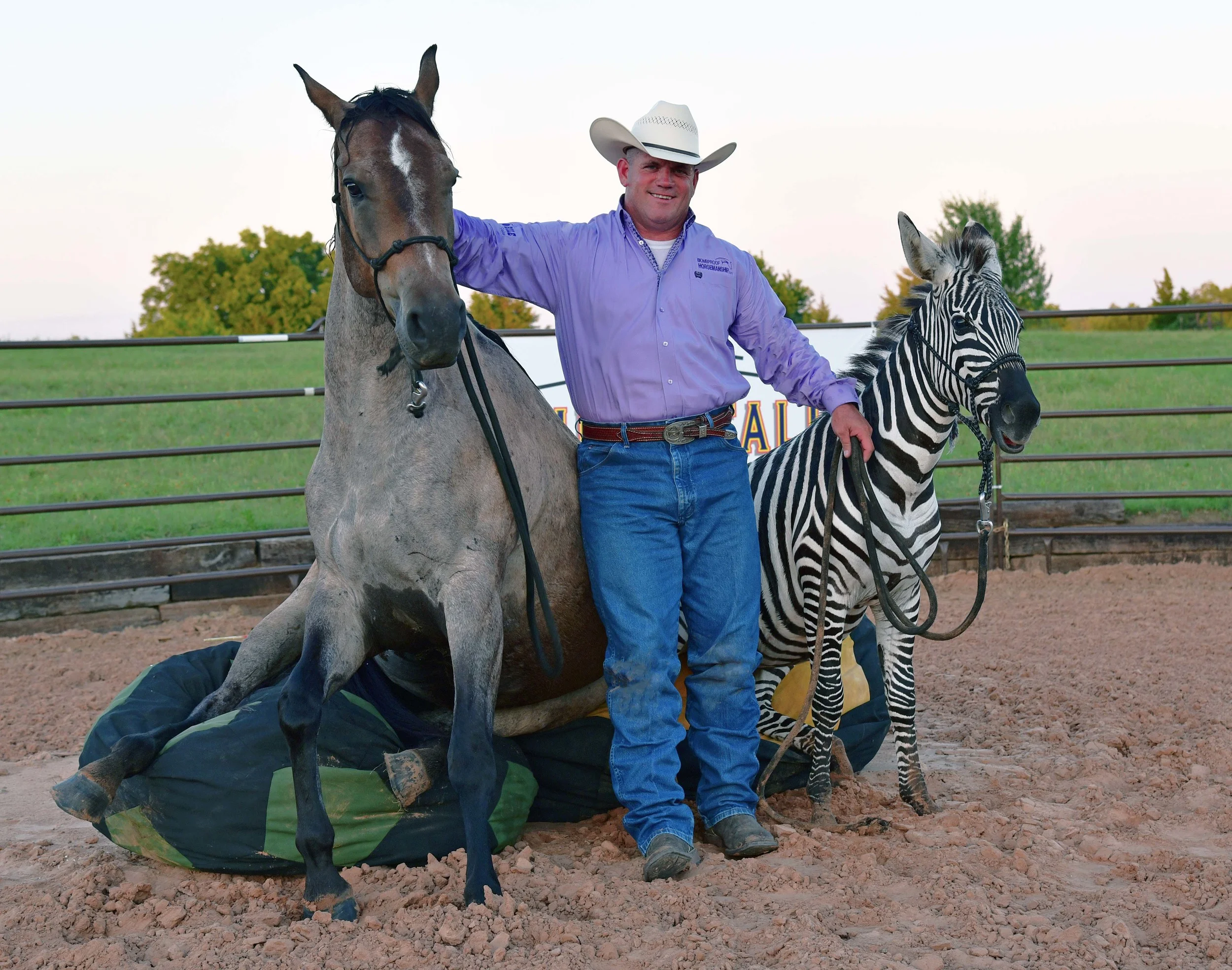 AmeriStall Horse Barns Chad's Zebra Training Successes