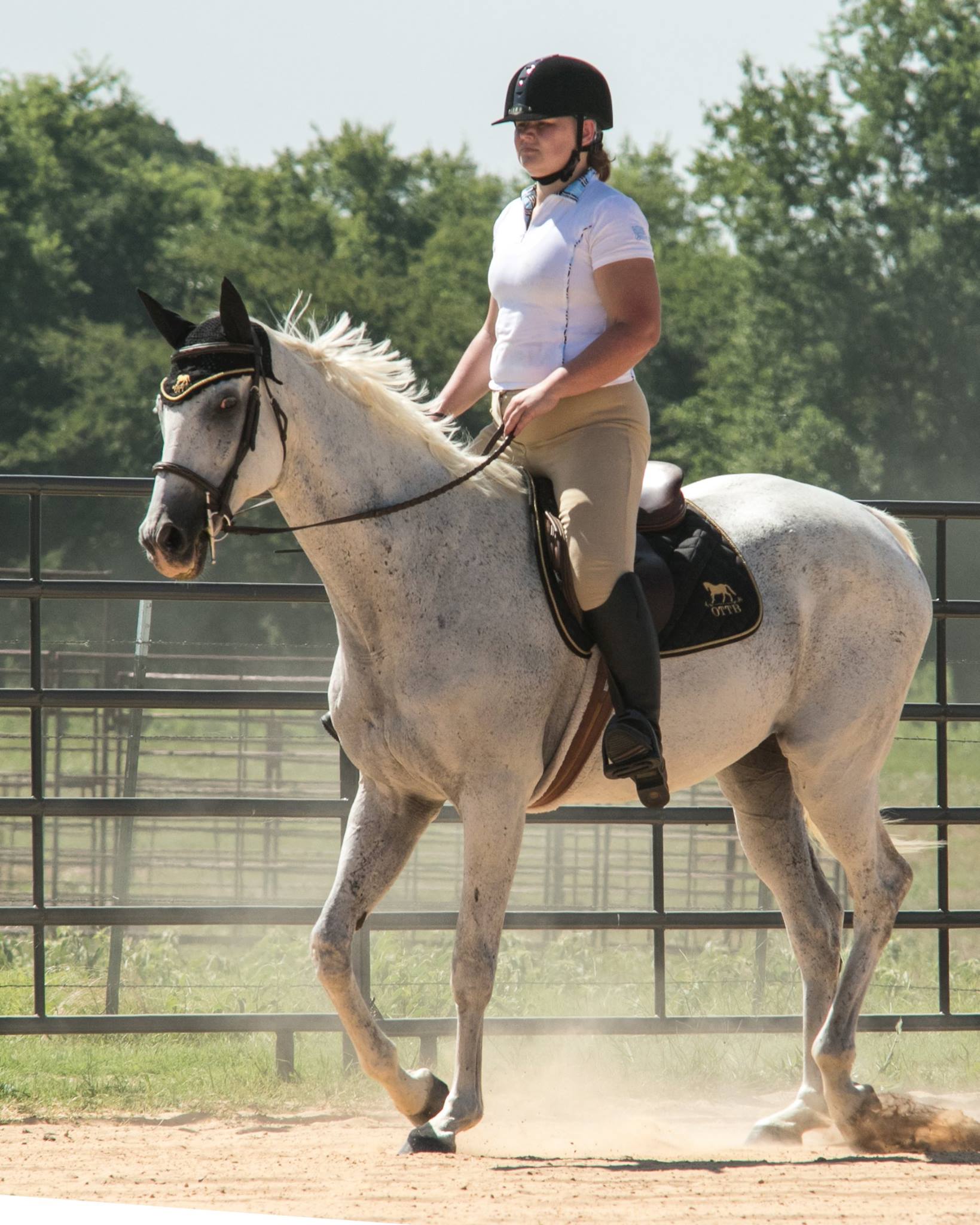 Valerie Mellema riding Mistic Gray Photo Courtesy: Breedlove Photography