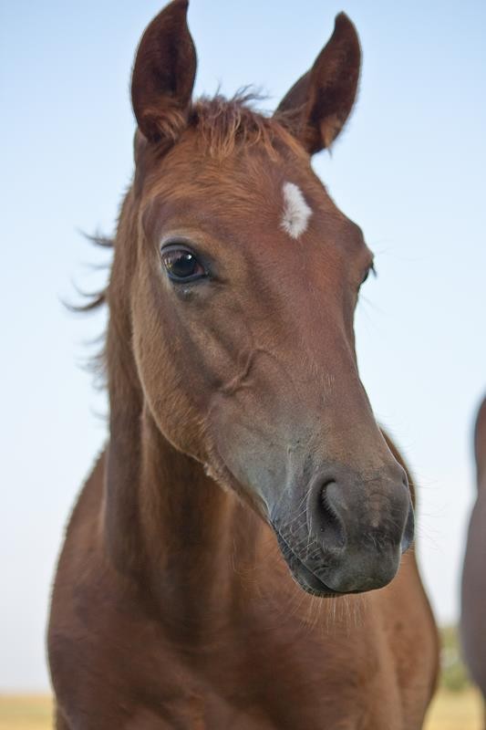 Photo Courtesy of Marea Breedlove Photography
