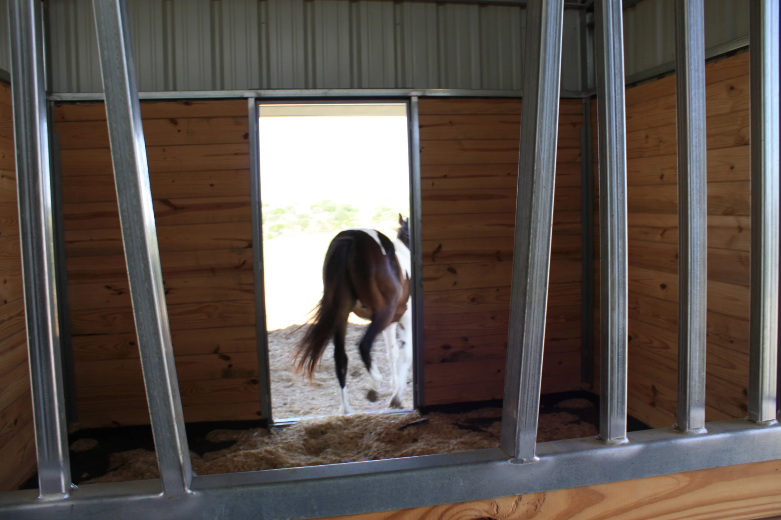 Dutch Doors for Stall Exits