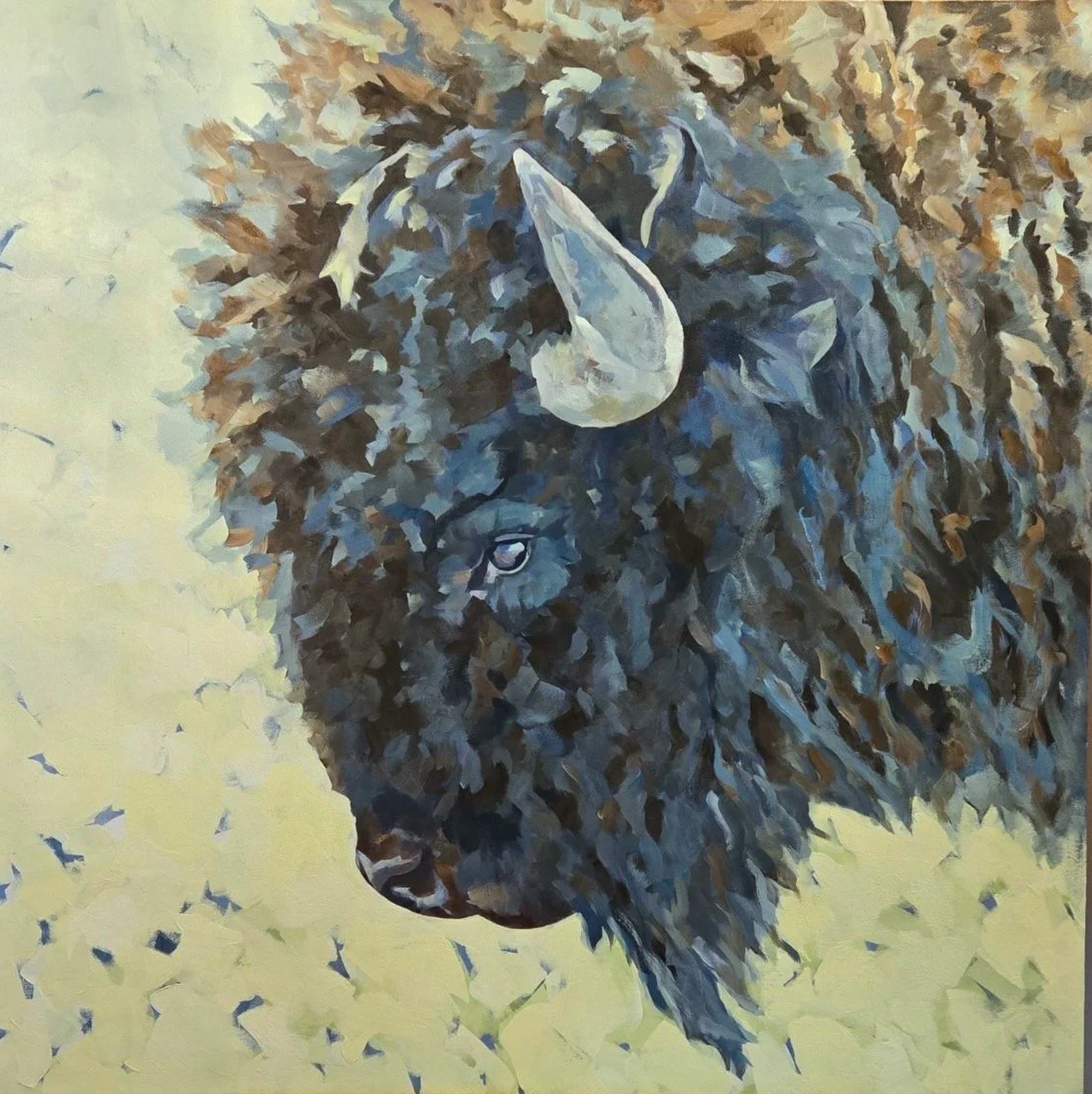 BUFFALO 48X48 STRETCHED CANVAS.jpg