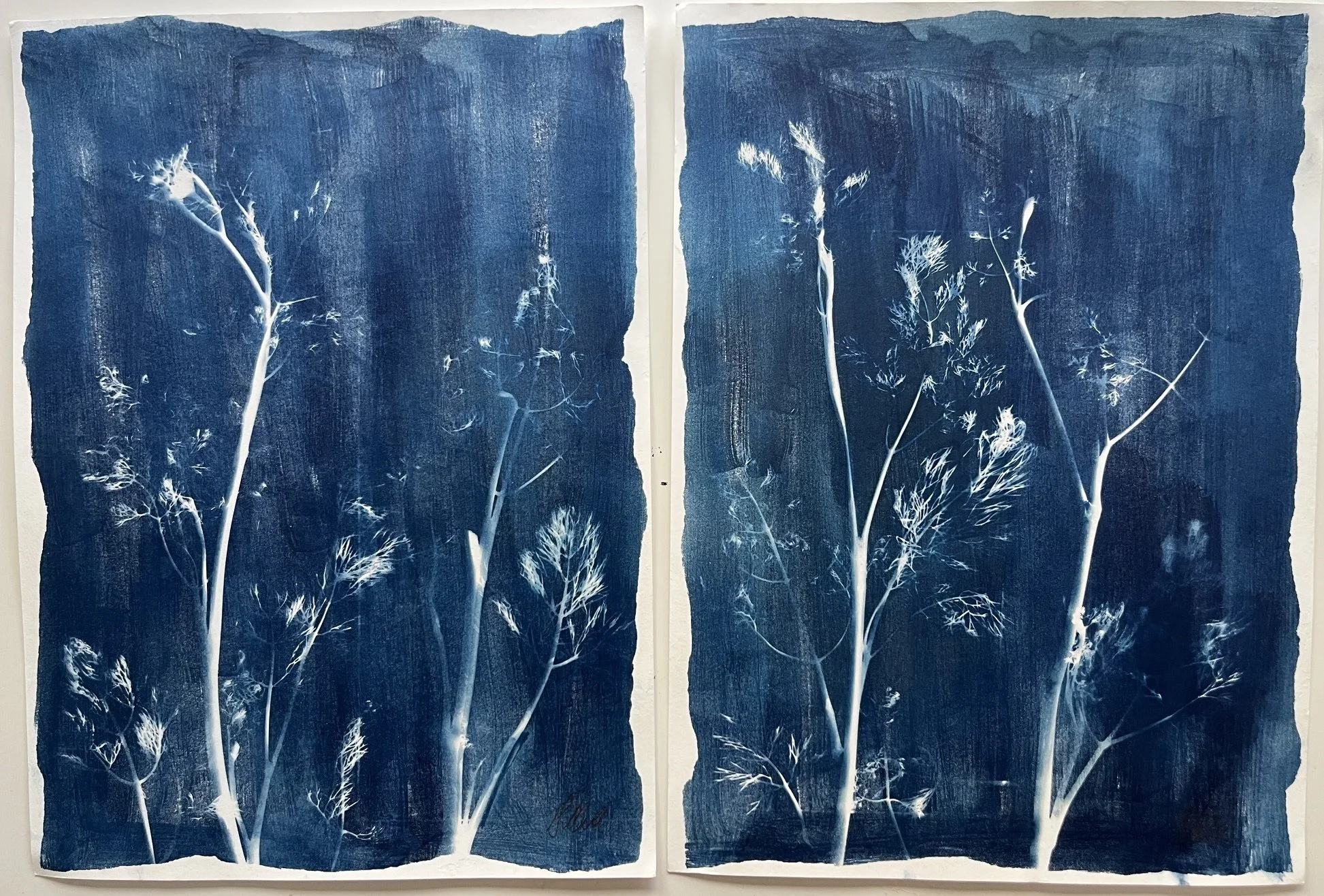 Wild At Heart 2(11x15) Cyanotype Paper