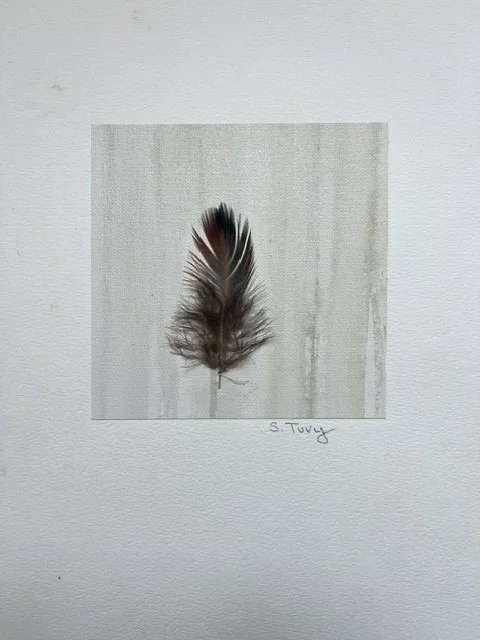 C 6X6 PAPER.jpeg