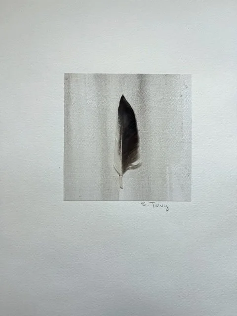 D 6X6 PAPER.jpeg