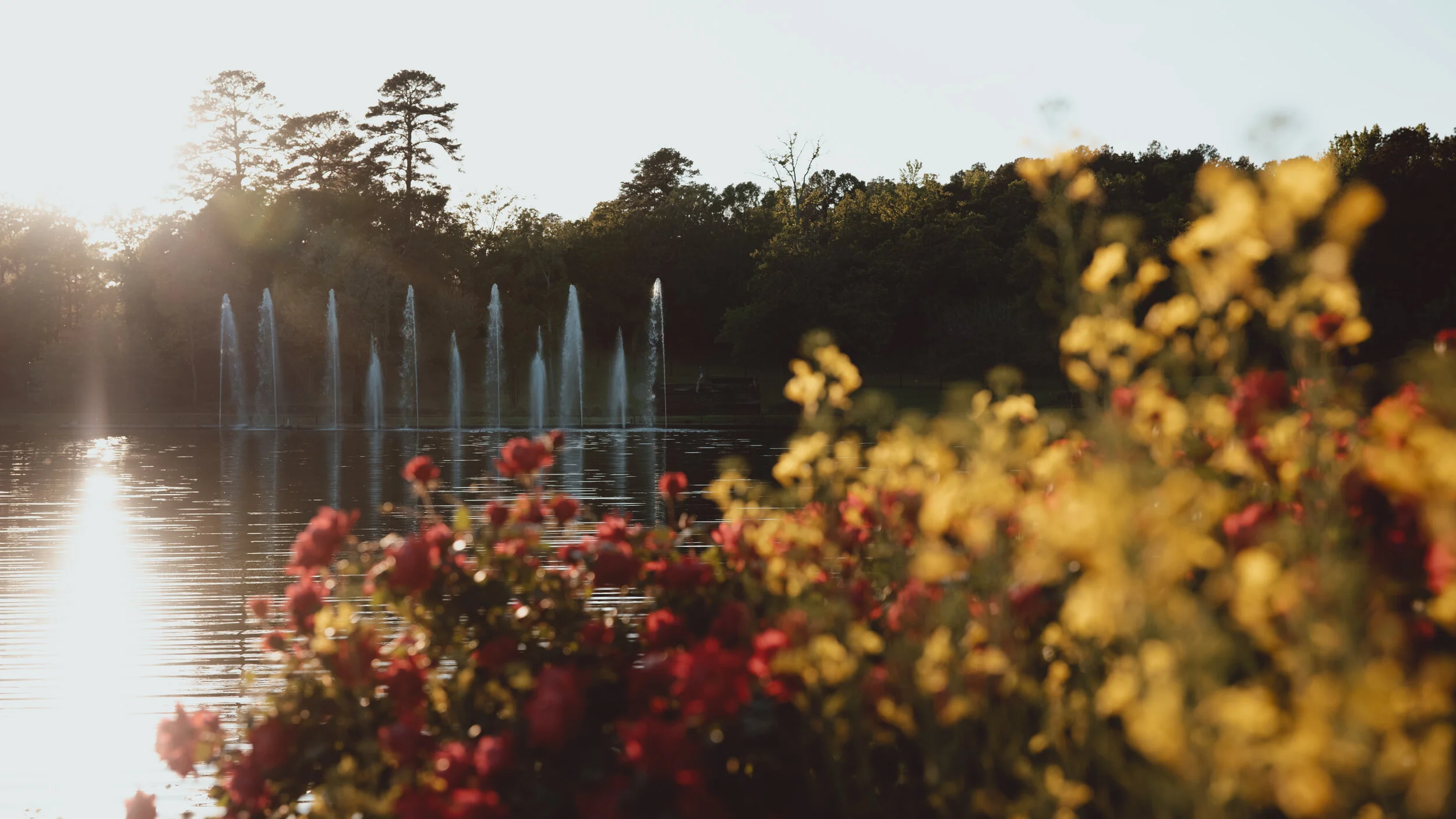 Lagopalooza 2021 Event Lago23.JPG