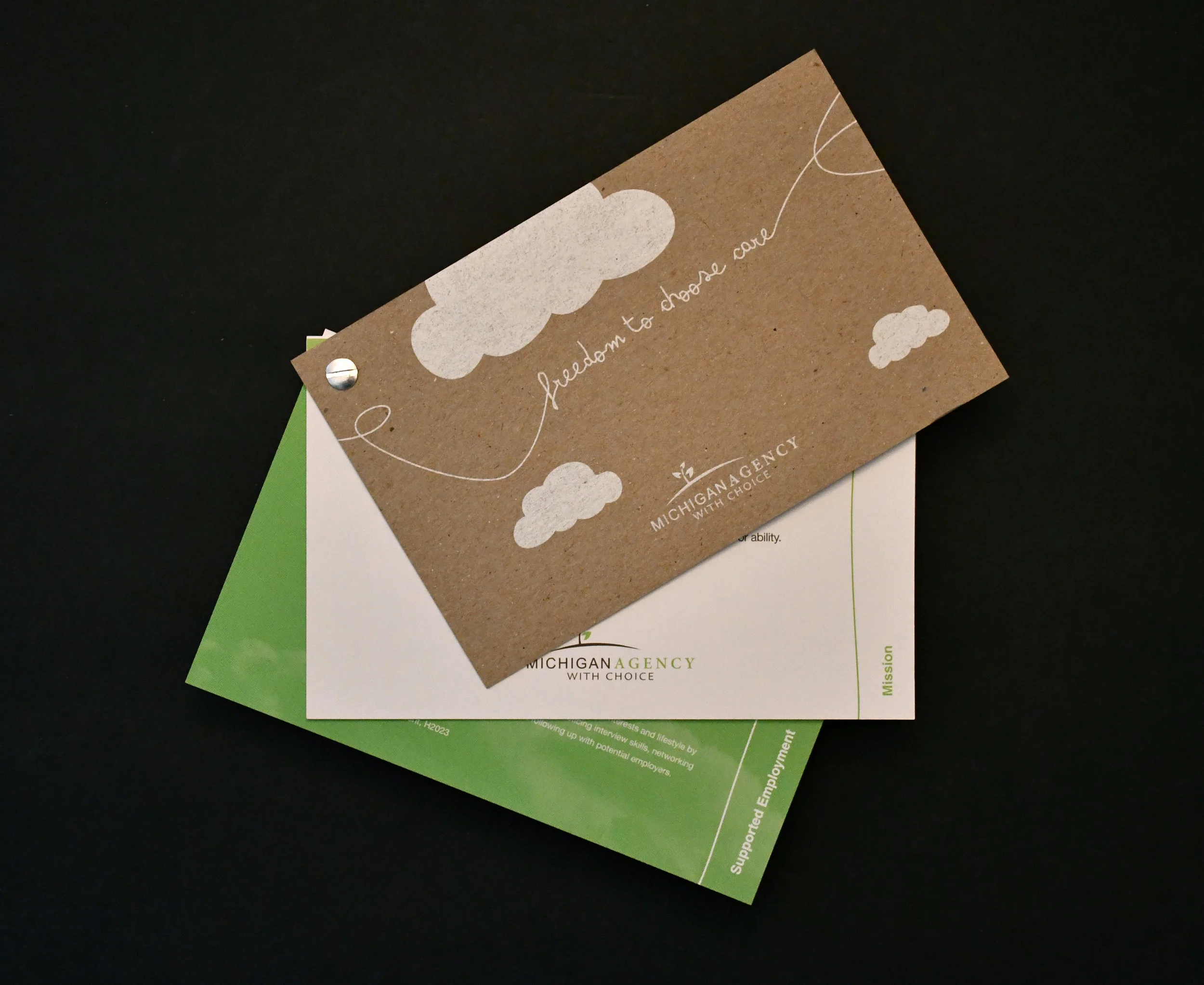 MichiganAgencyWithChoice.jpg