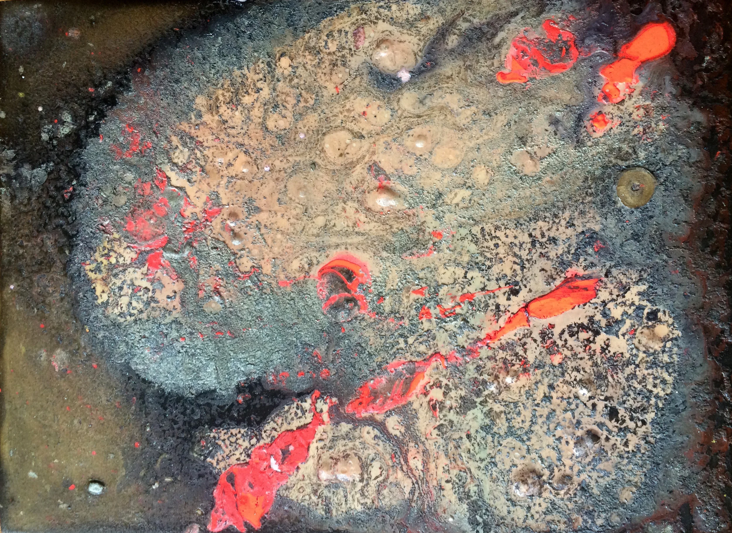 Nebula...or Brain Slice
