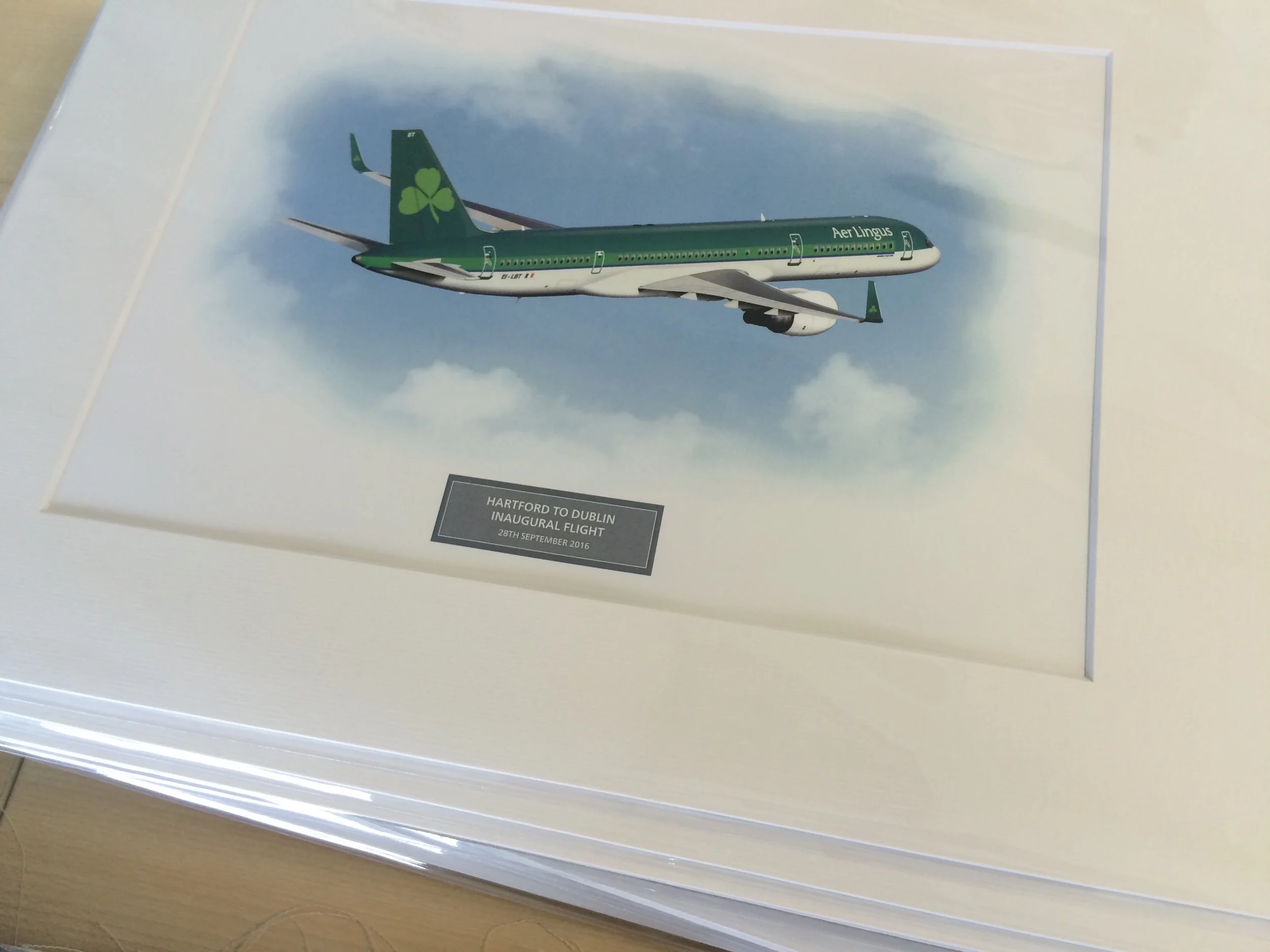 Frame Mount + Illustration Print 2.JPG