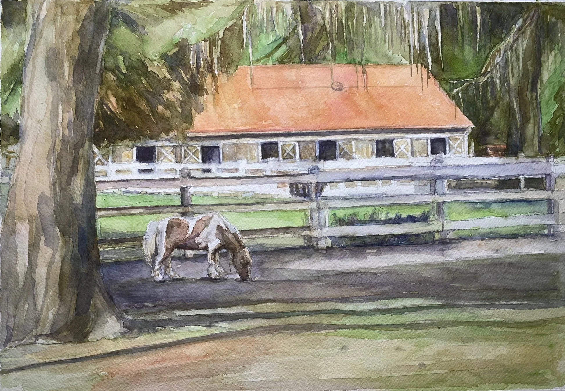 Little Nemo of Haig Point