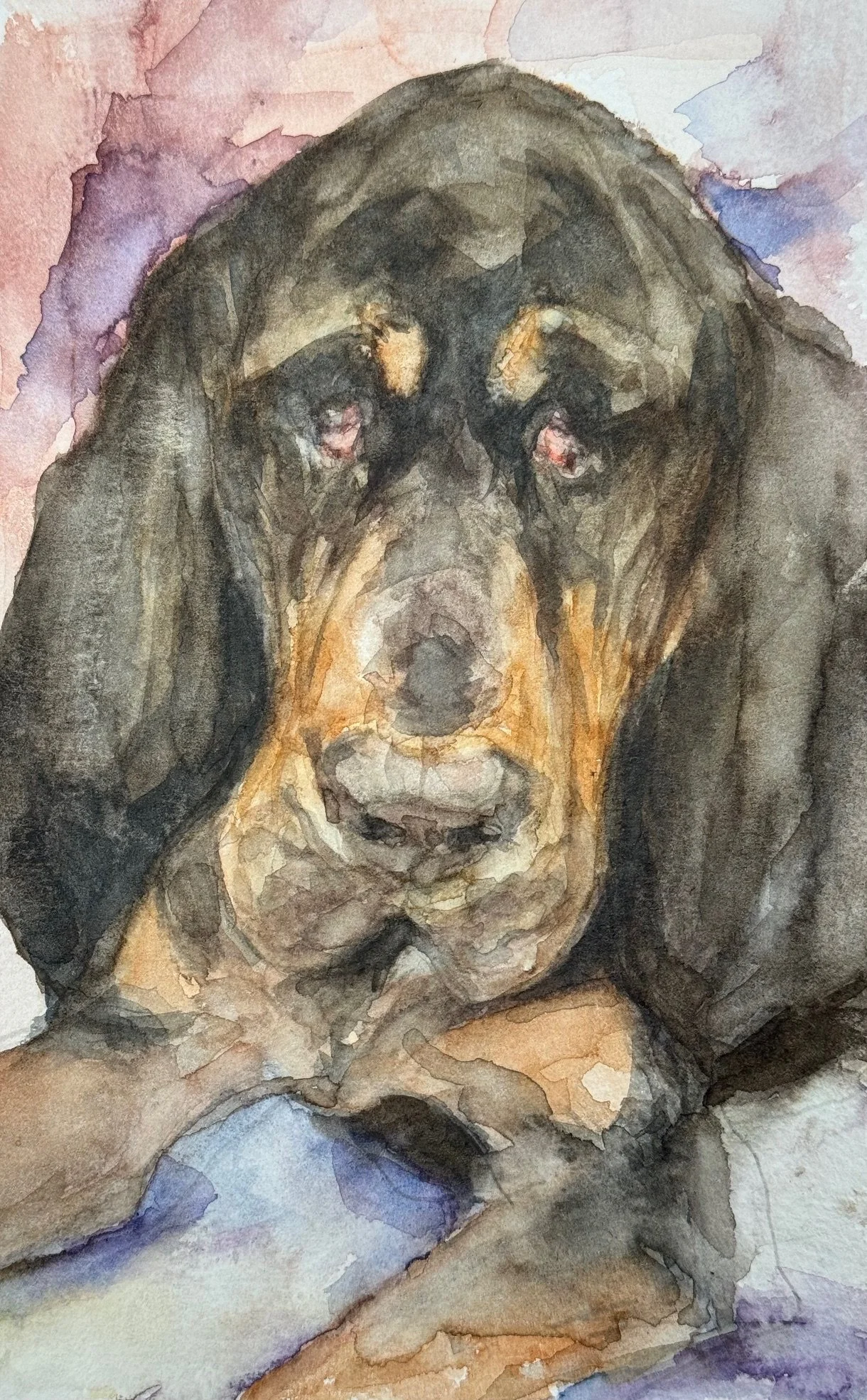 Bloodhound #1