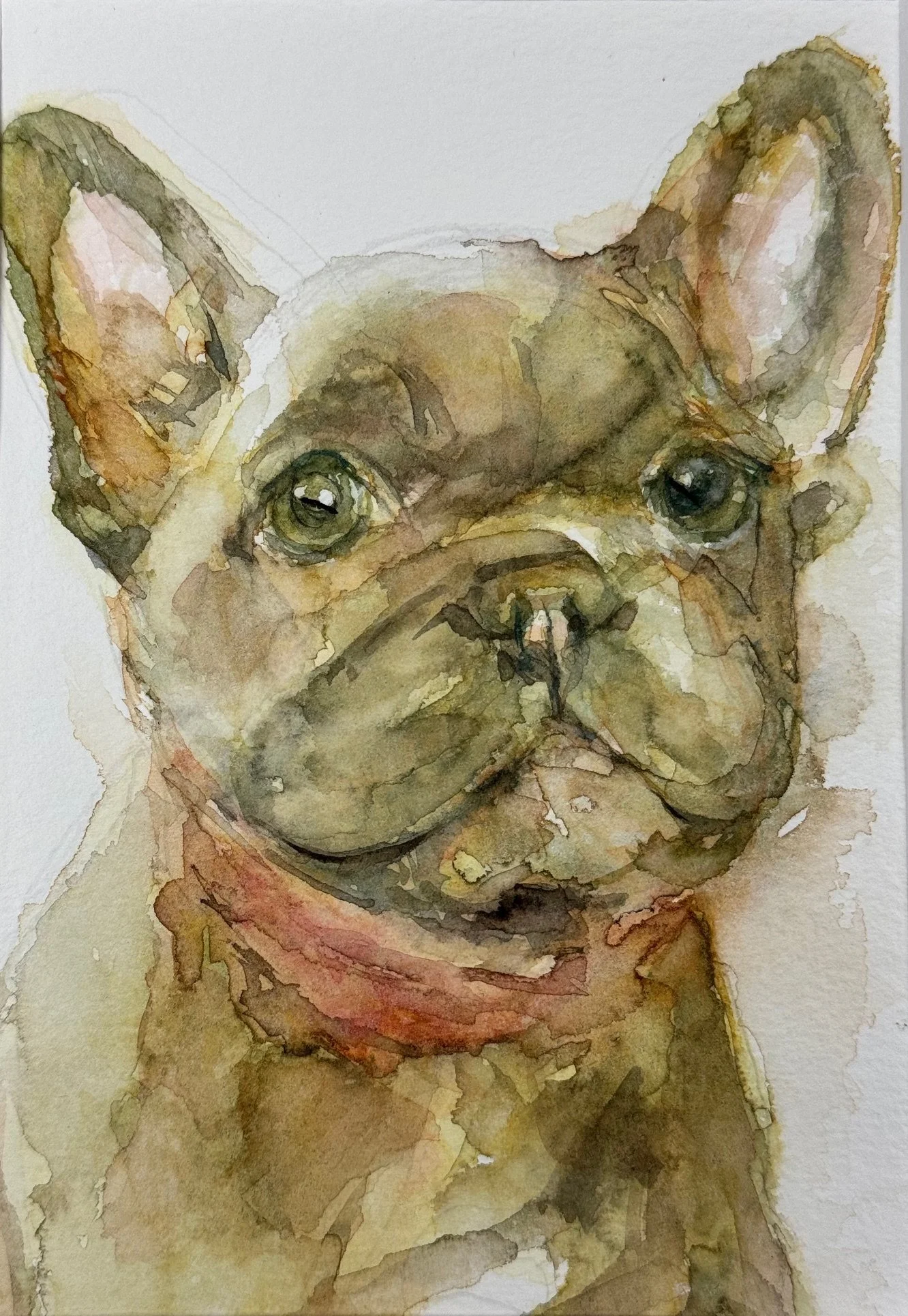 French Bulldog #1
