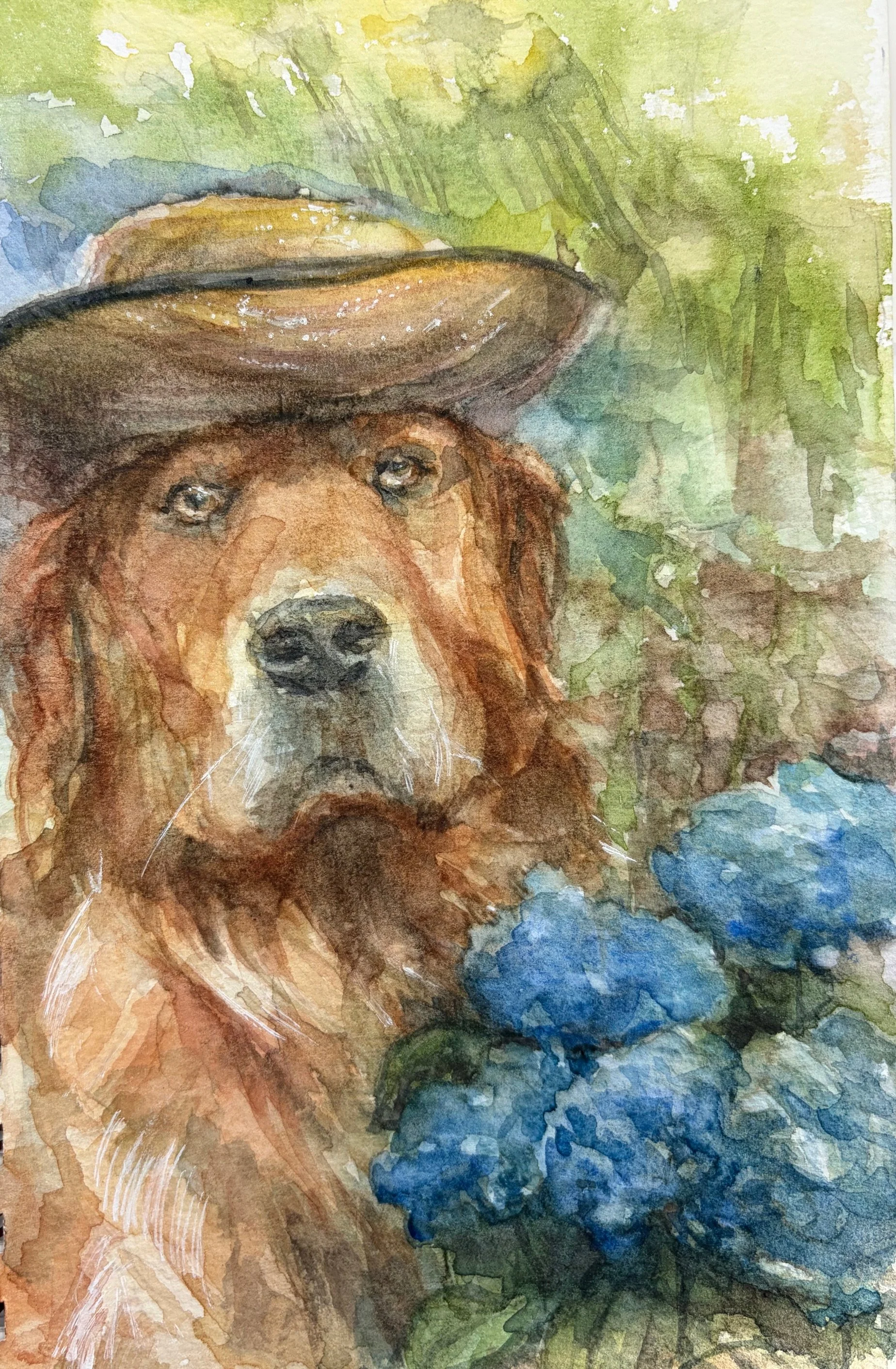 Jamie and Blue Hydrangeas