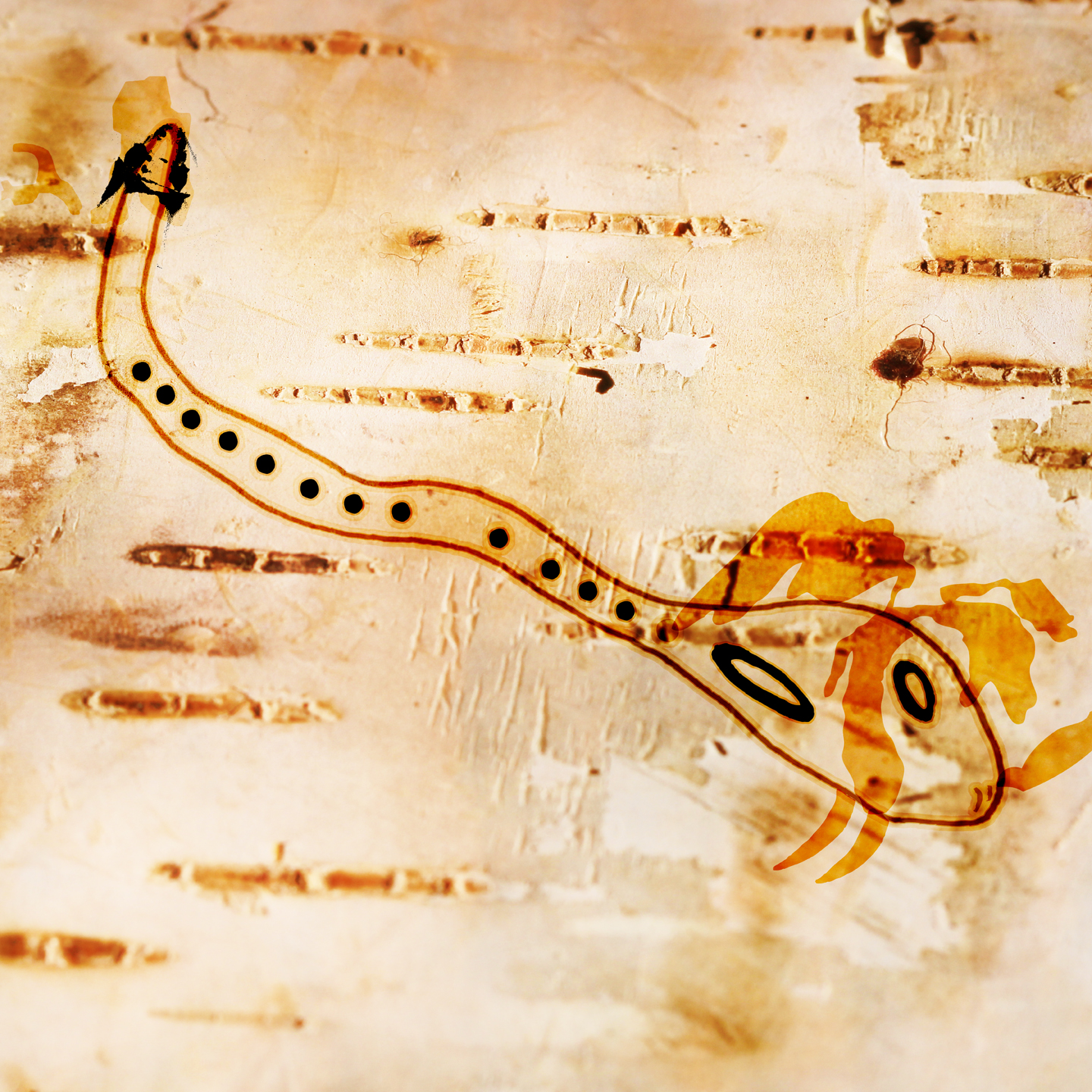 The Snake That Swallows Us Whole, 2015