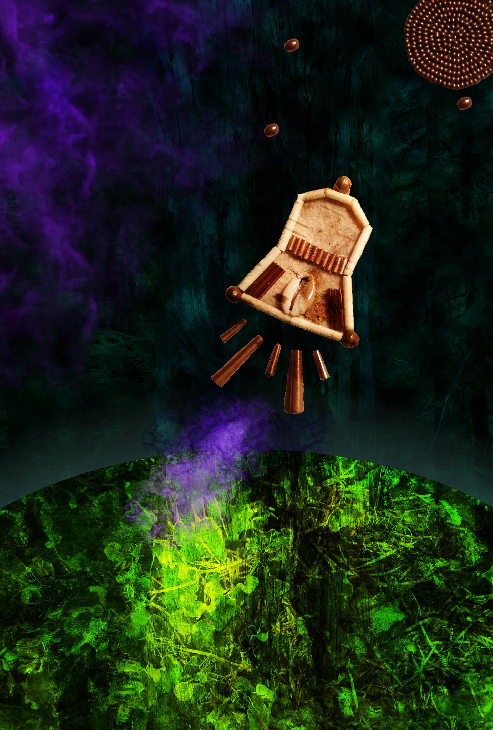 Echoes of the Next Generations, 2013