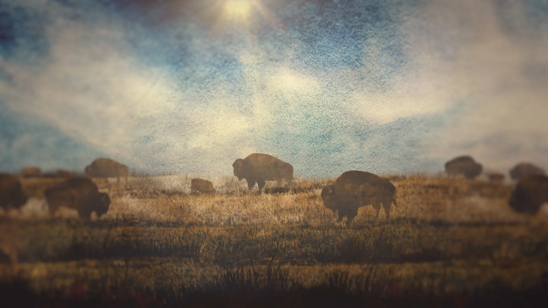 nîpawistamâsowin: We Will Stand Up, 2019