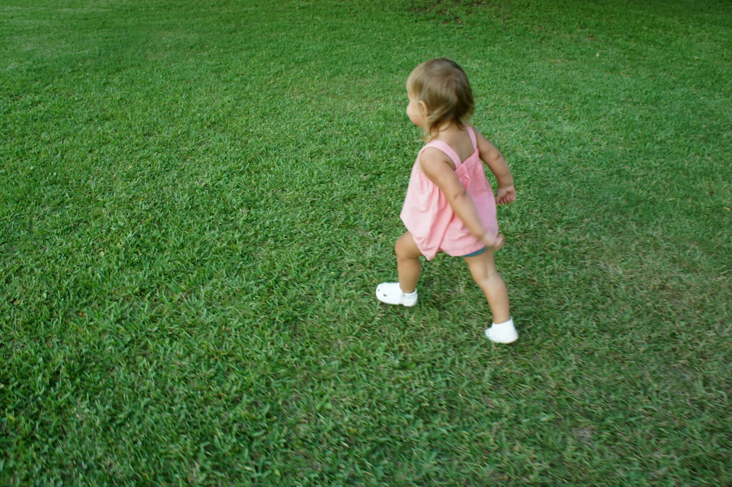 DSC09380.jpg
