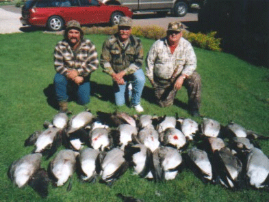 Canada duck hunt