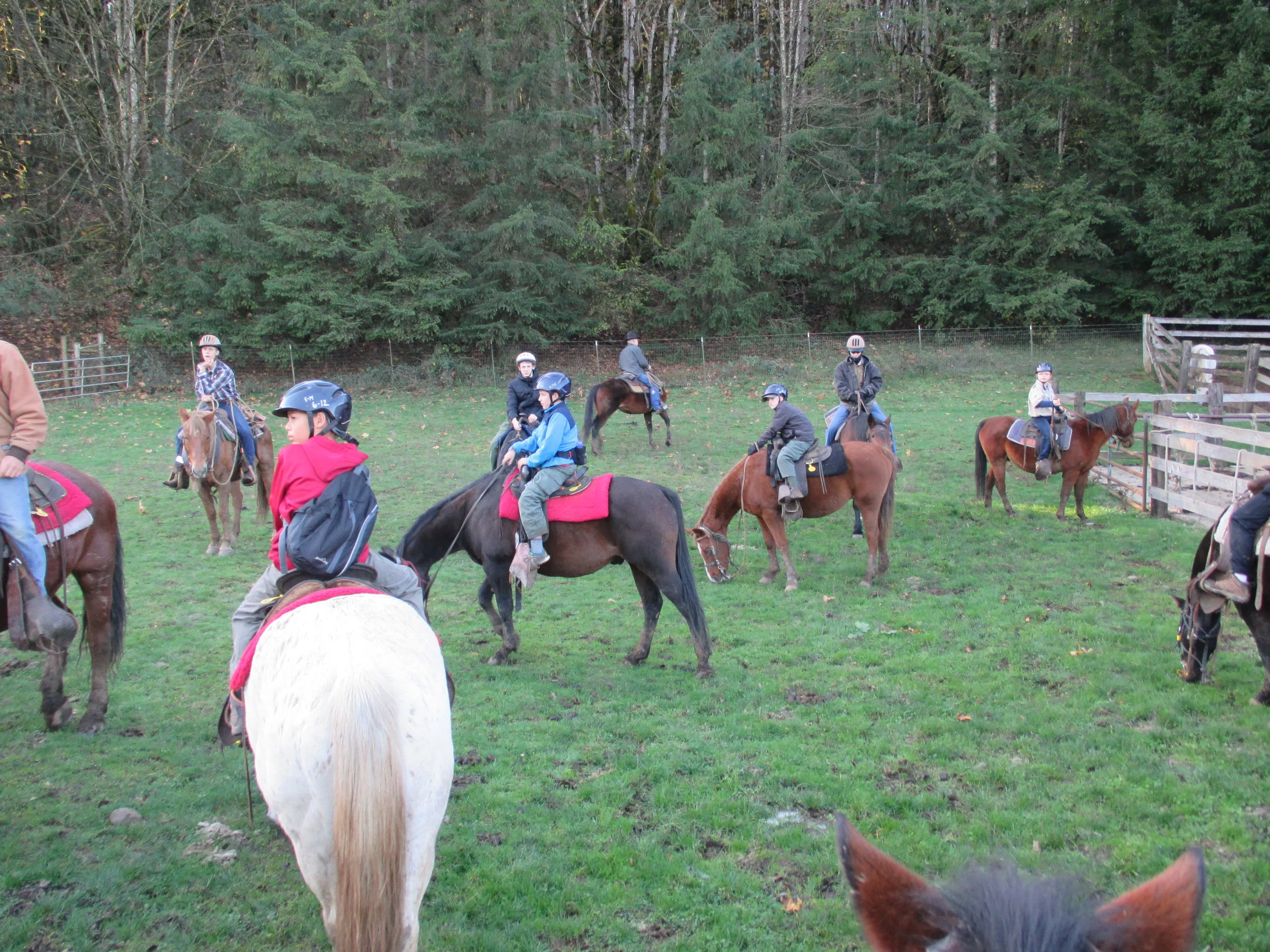 Butte Creek Ranch, November 2014