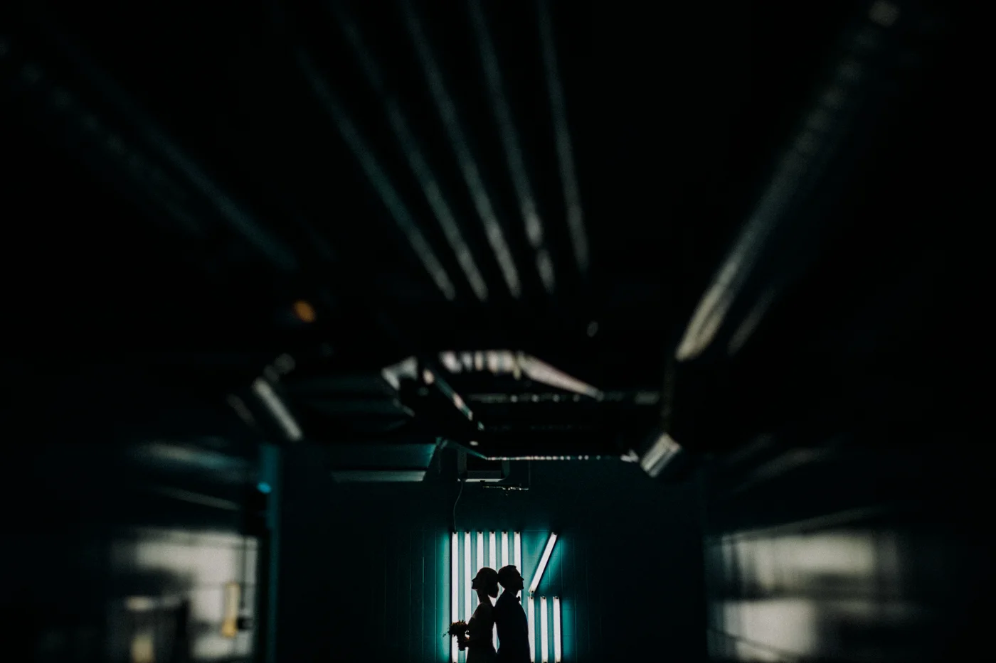 haweb-38.jpg