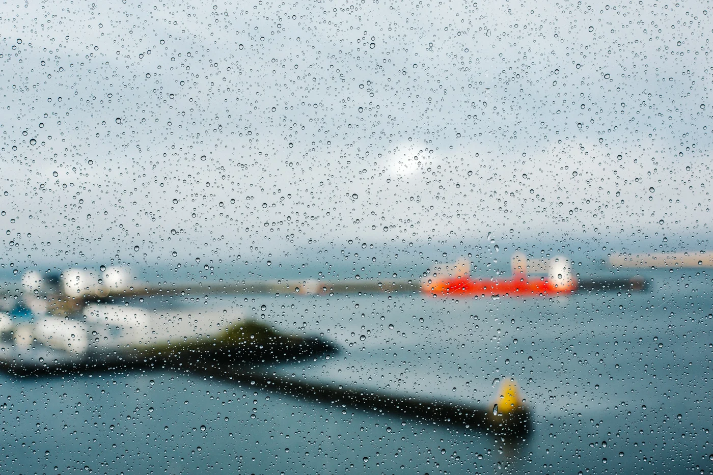 amweb-8.jpg