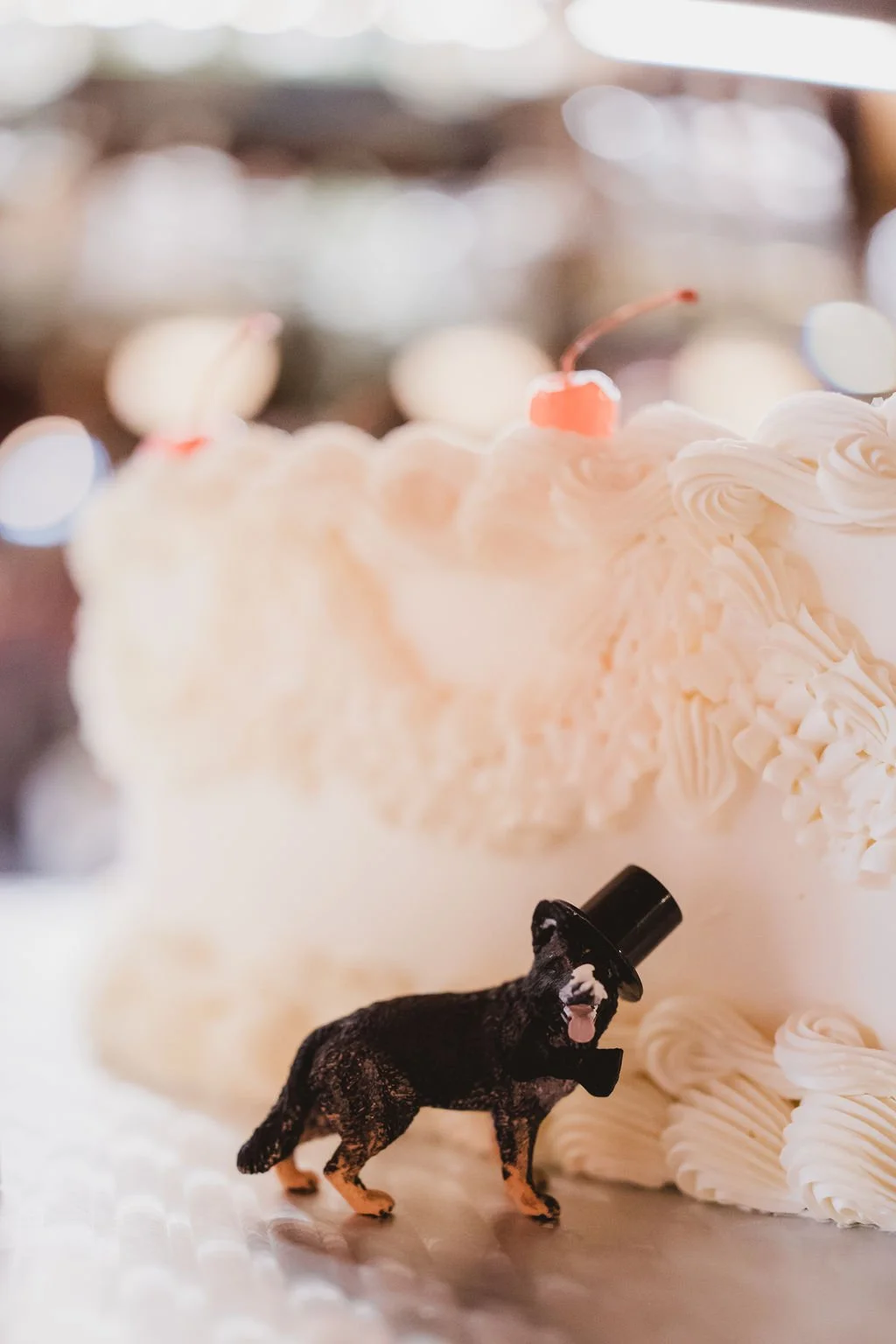 reykjavik-wedding-photographer-84.jpg