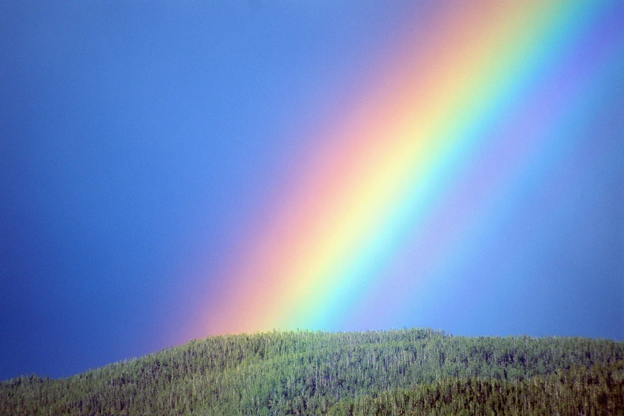 rainbow-04.jpg