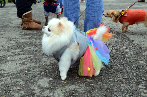 DSC_0062.jpg