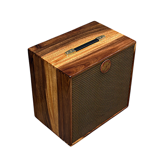 Ashen 112 Teak Handcrafted Bass Cabinet (Copy)