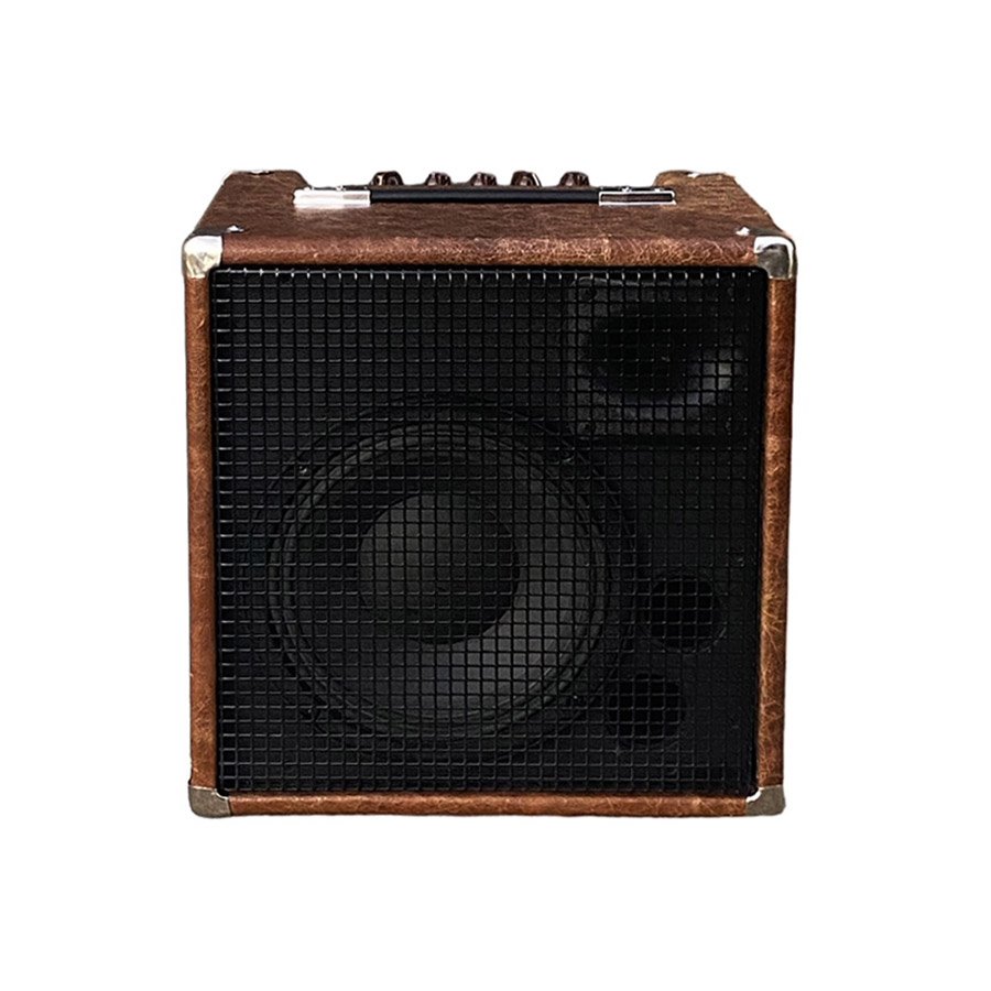 Ashen Custom Bass and Guitar Gear-Ashen 