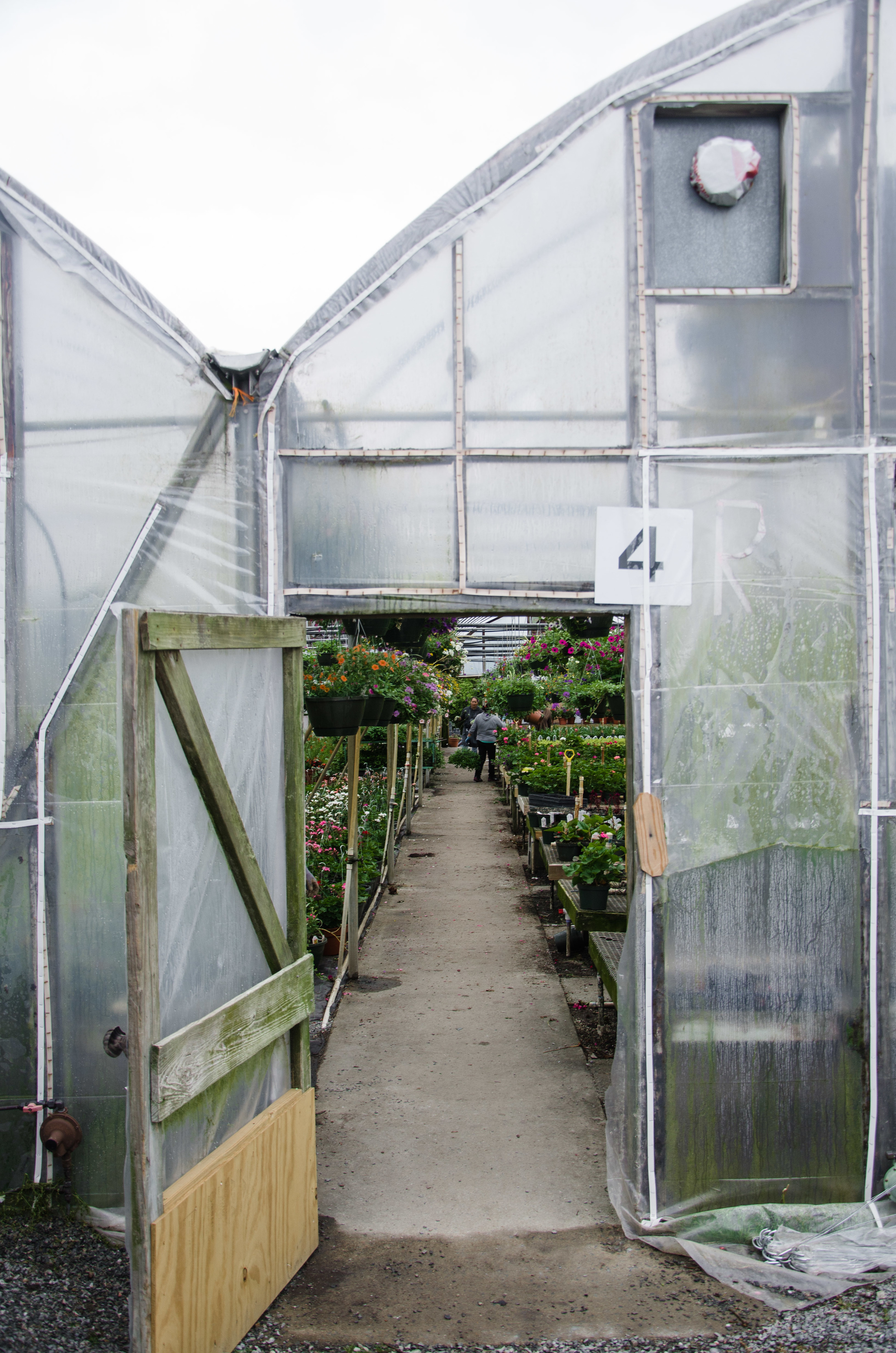 Tarheel Nursery