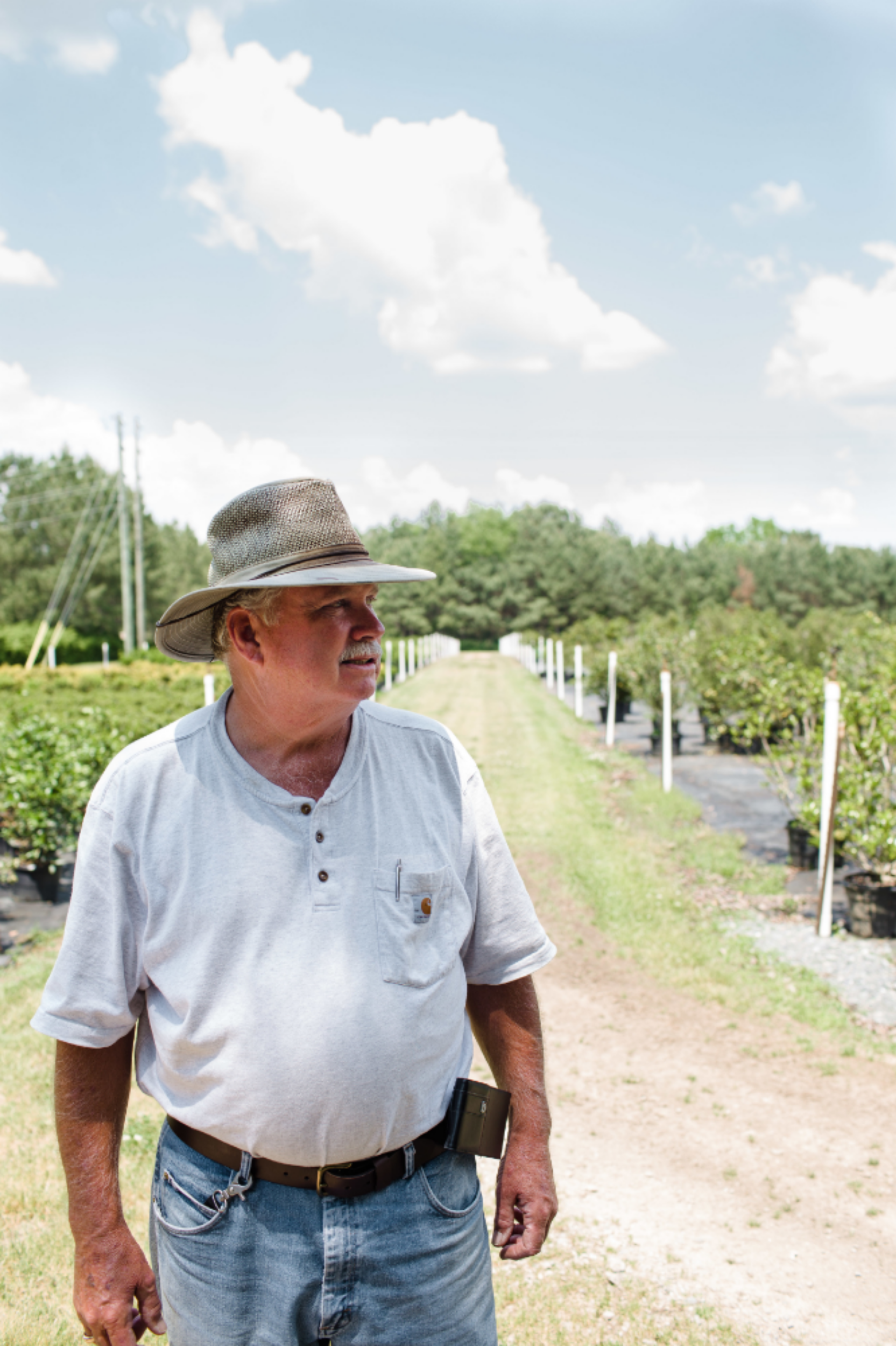 David Watson of Watson's Nursery in Sanford, NC.