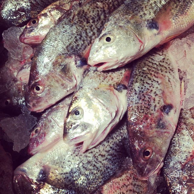 Courtesy of Locals Seafood