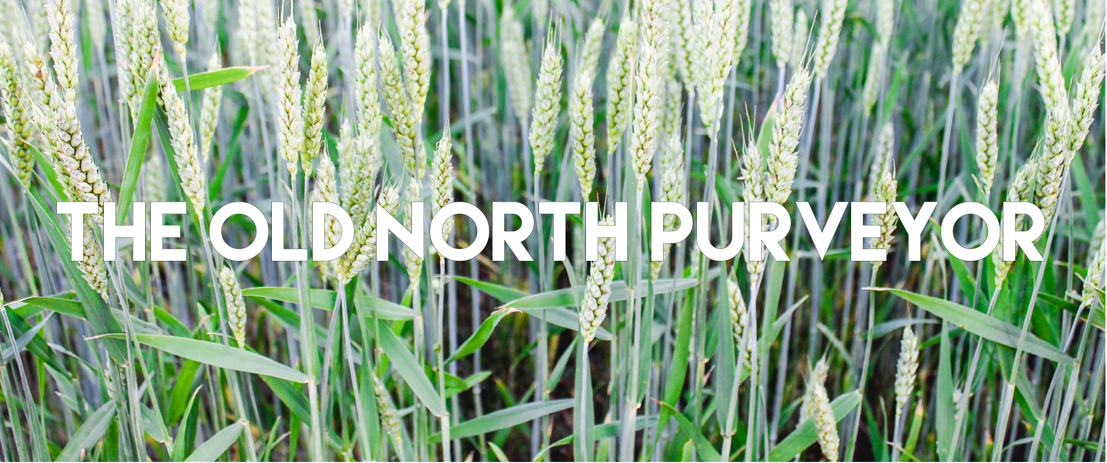 header_old north purveyor.png