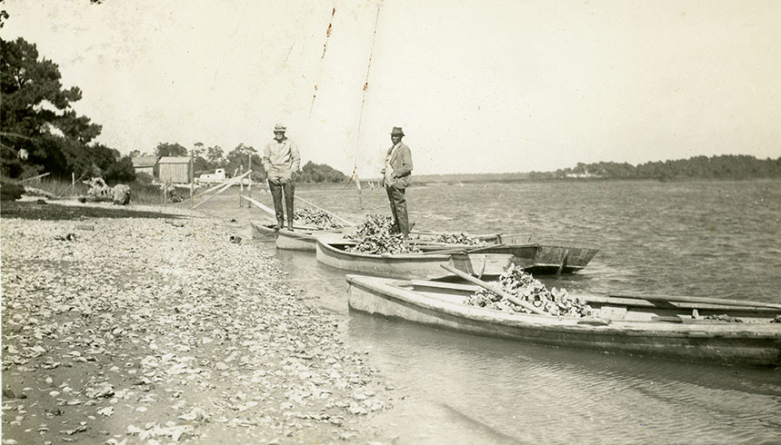 Brunswick County oyster harvesters Courtesy of the State Archives of North Carolina