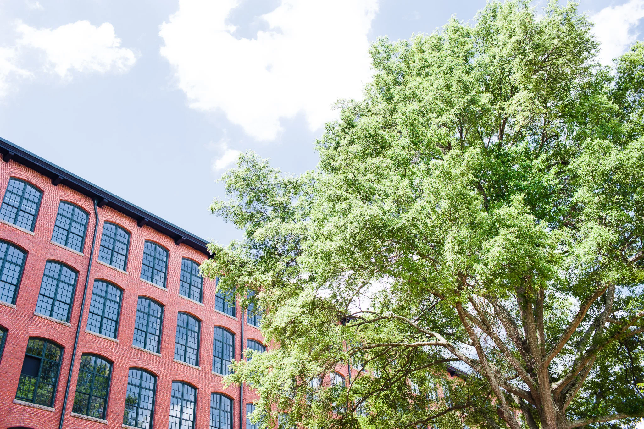Worth Saving: Historical Preservation at Loray Mill