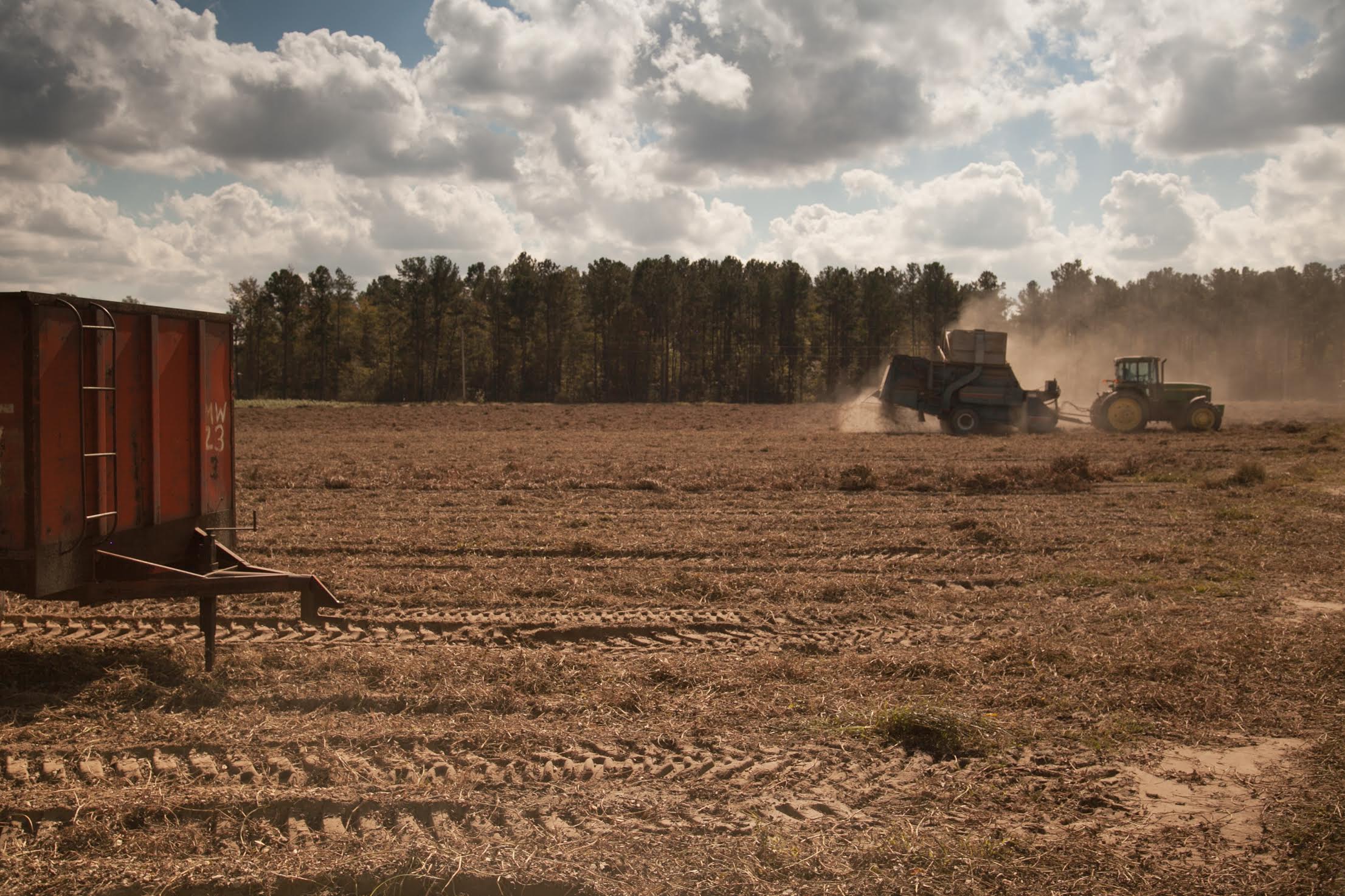 Bertie County // Photo by Margaret Byrne