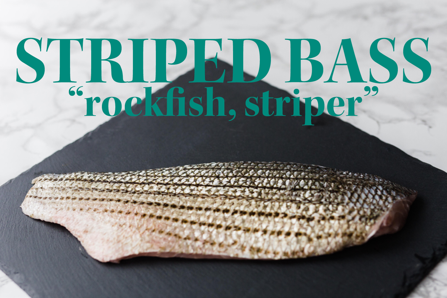 Seafood 101 with Locals Seafood: Striped Bass — Bit & Grain