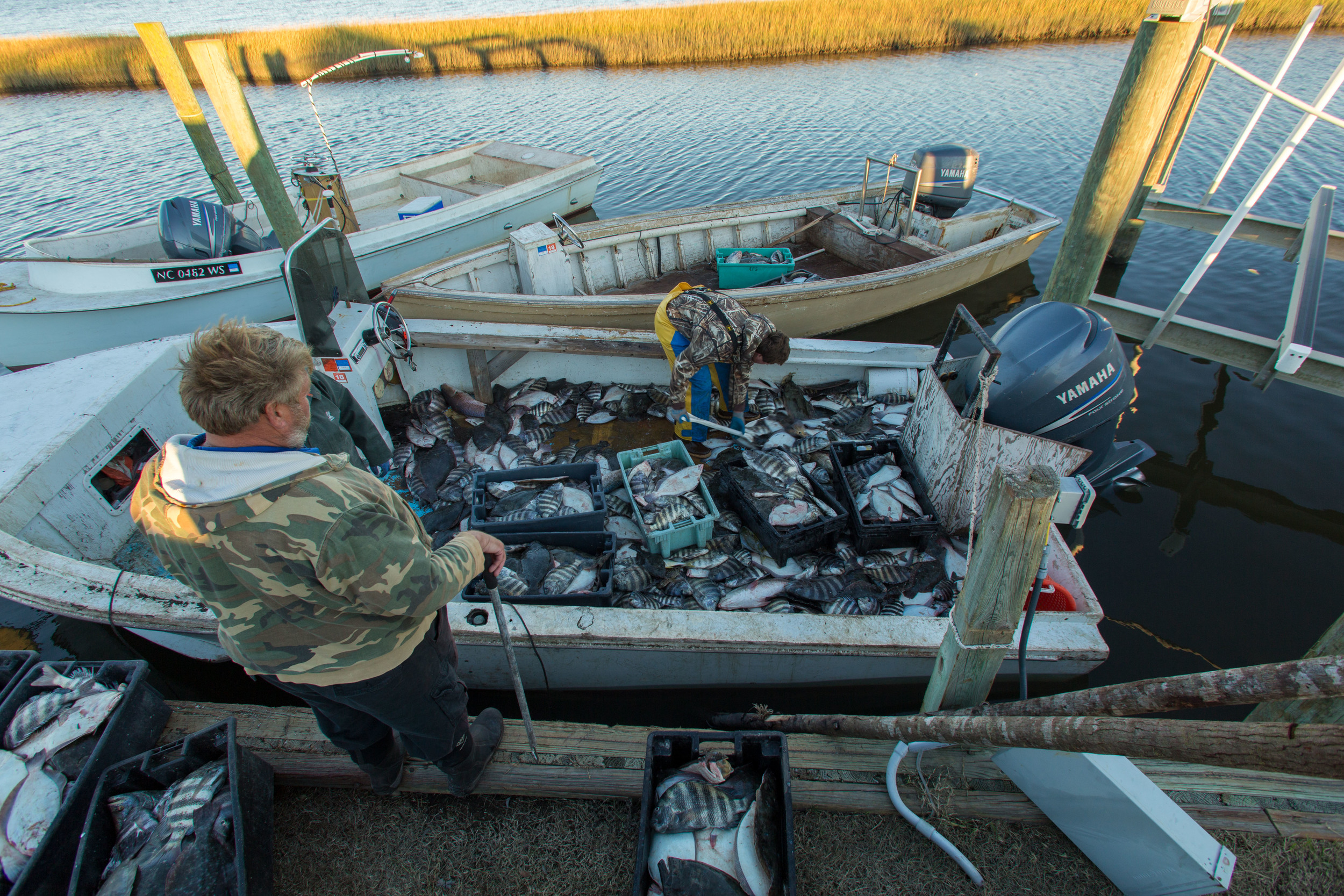   BACK AT THE HOUSE, AT SUNSET, BOBBY, ALBERTO AND EDDIE OFFLOAD THE DAY'S CATCH.  