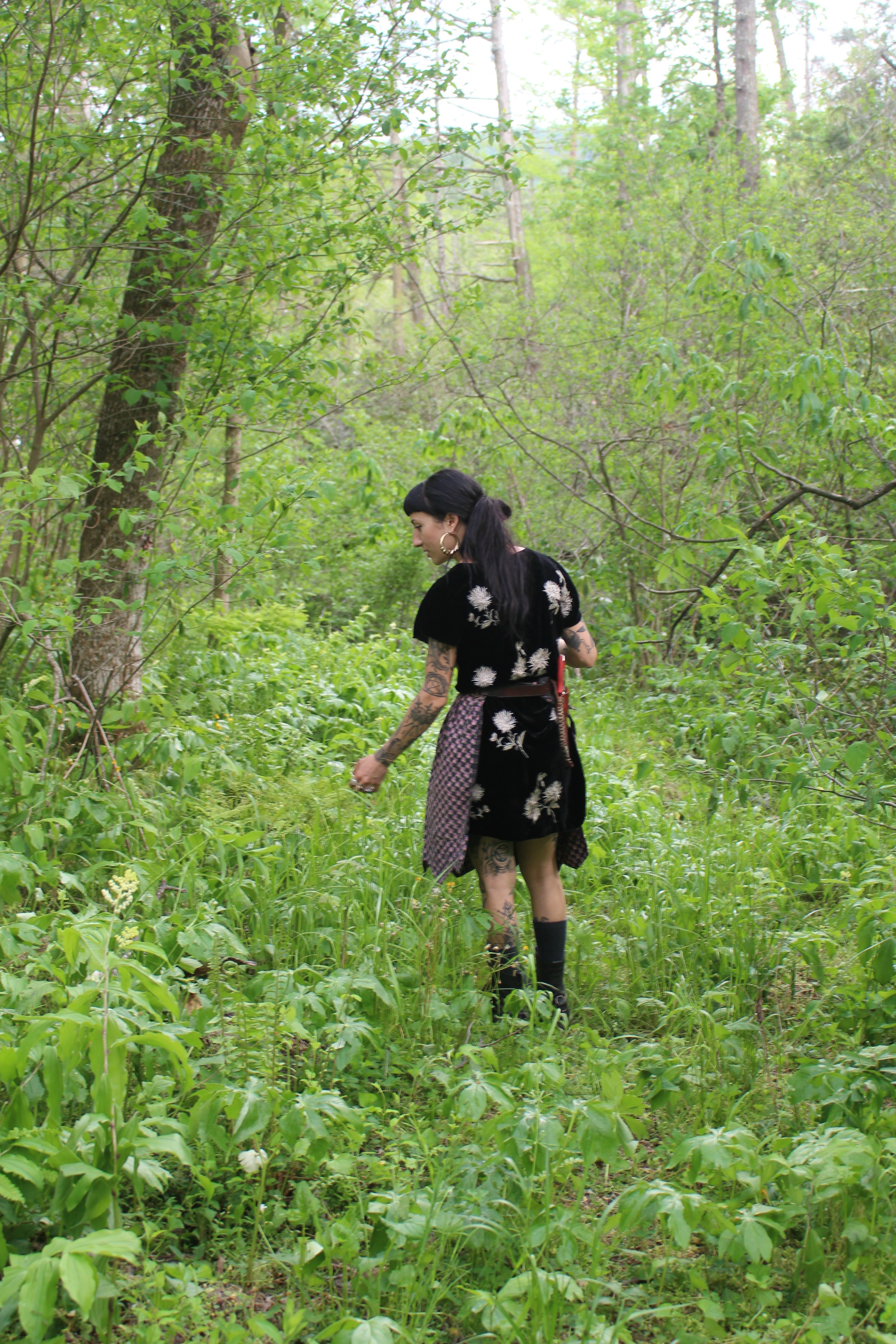 Ash Sierra wanders her PROPERty in search of medicinal plants 