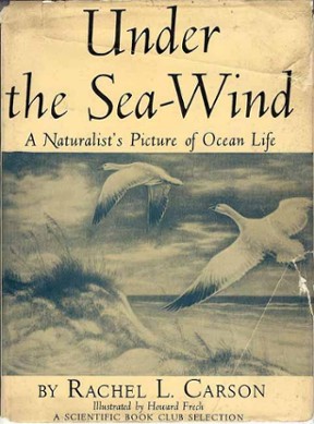 Rachel Carson went to the sleepy village of Beaufort to begin work on her first book.
