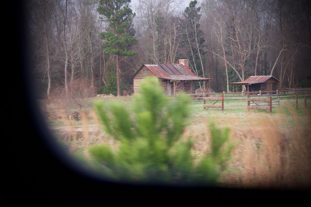  North Carolina landscape photographed from Northbound train. 