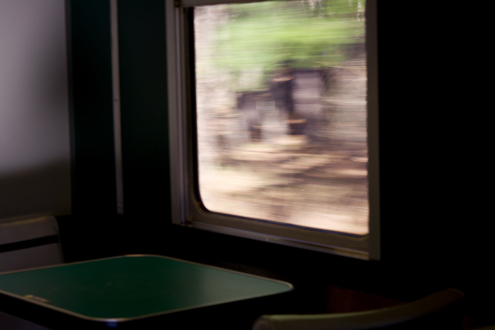  Cafe window from moving train. 